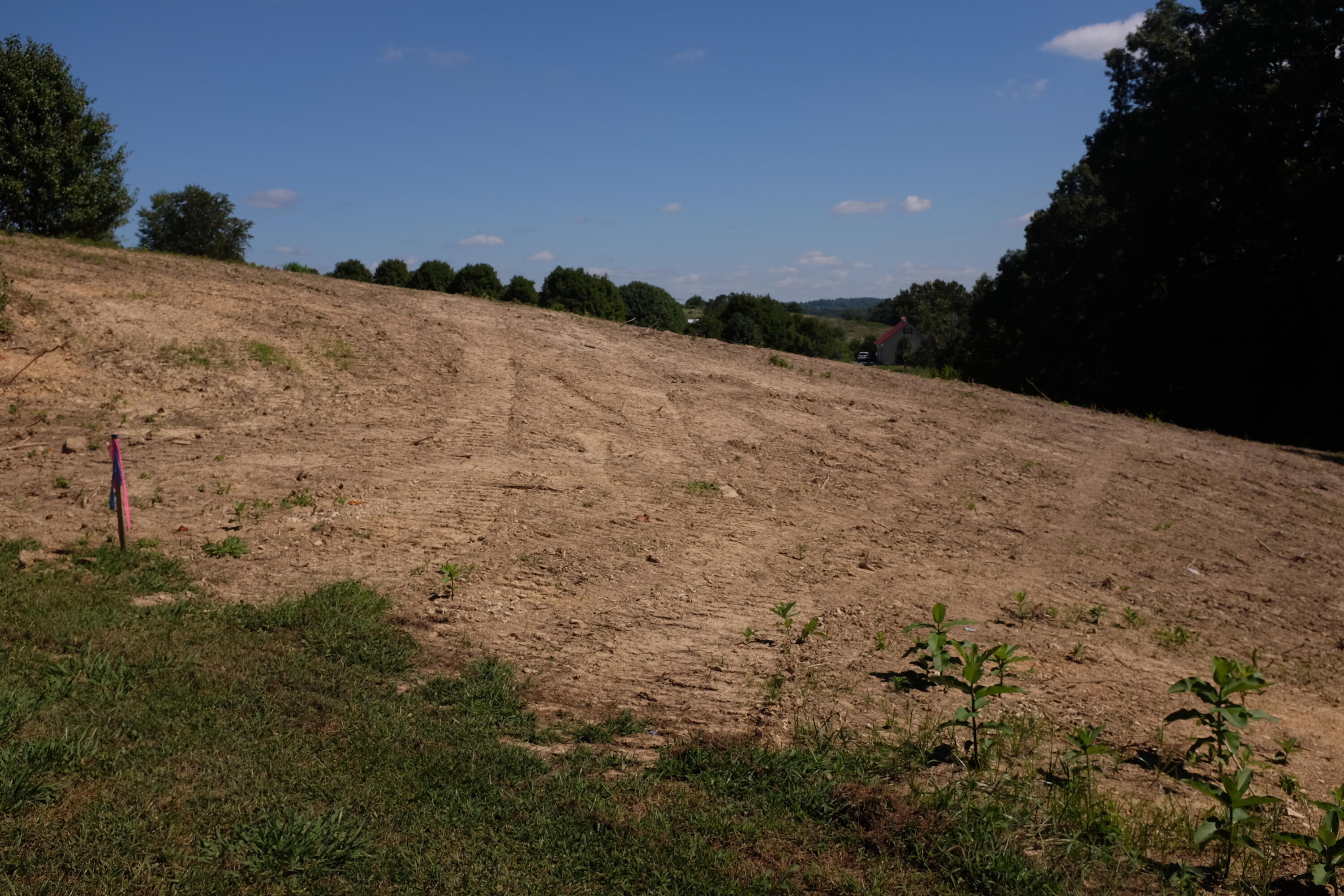 57 Lot Green Cove Drive Property Photo 1