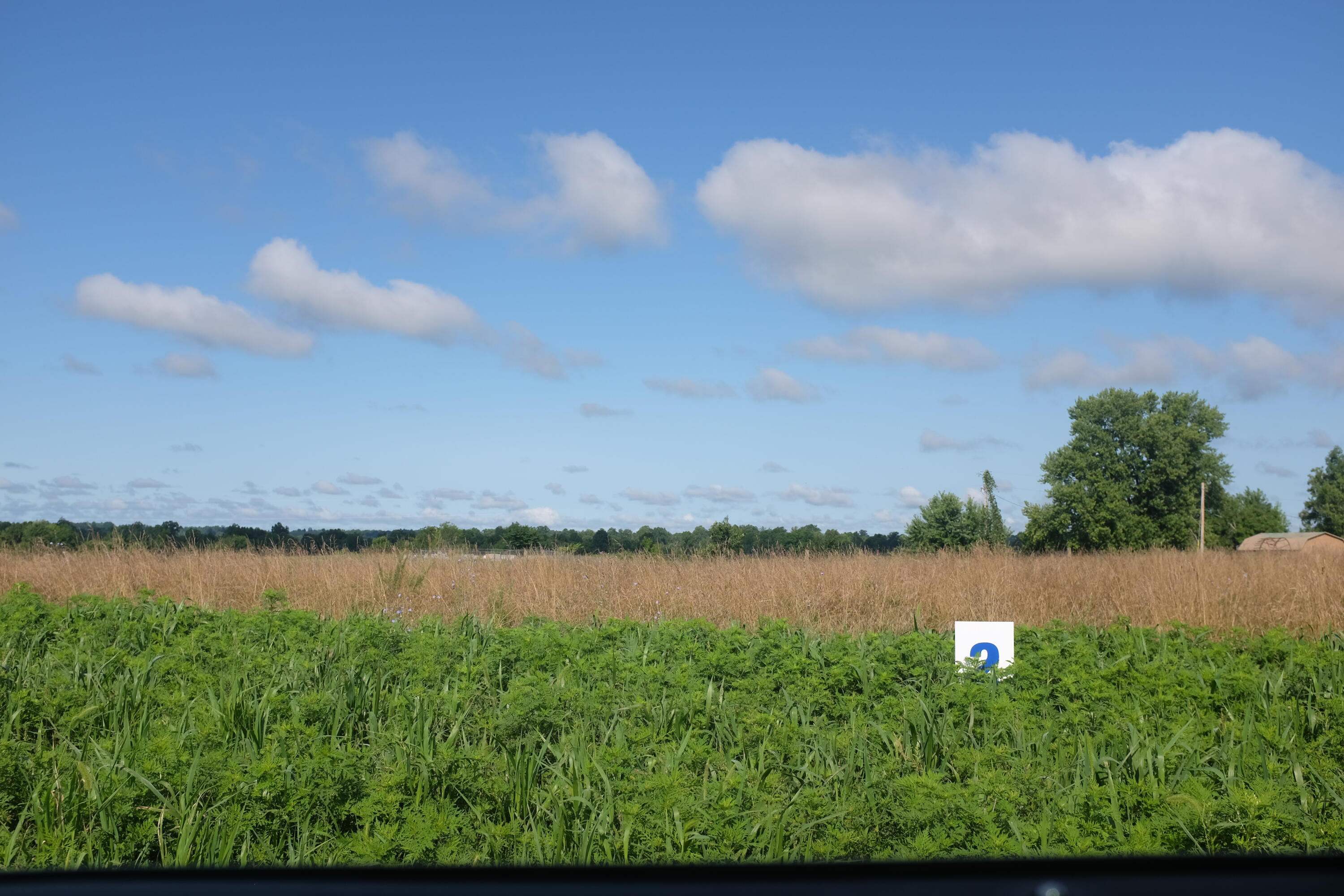 205 Dove Lane Lot 61 Property Photo 3