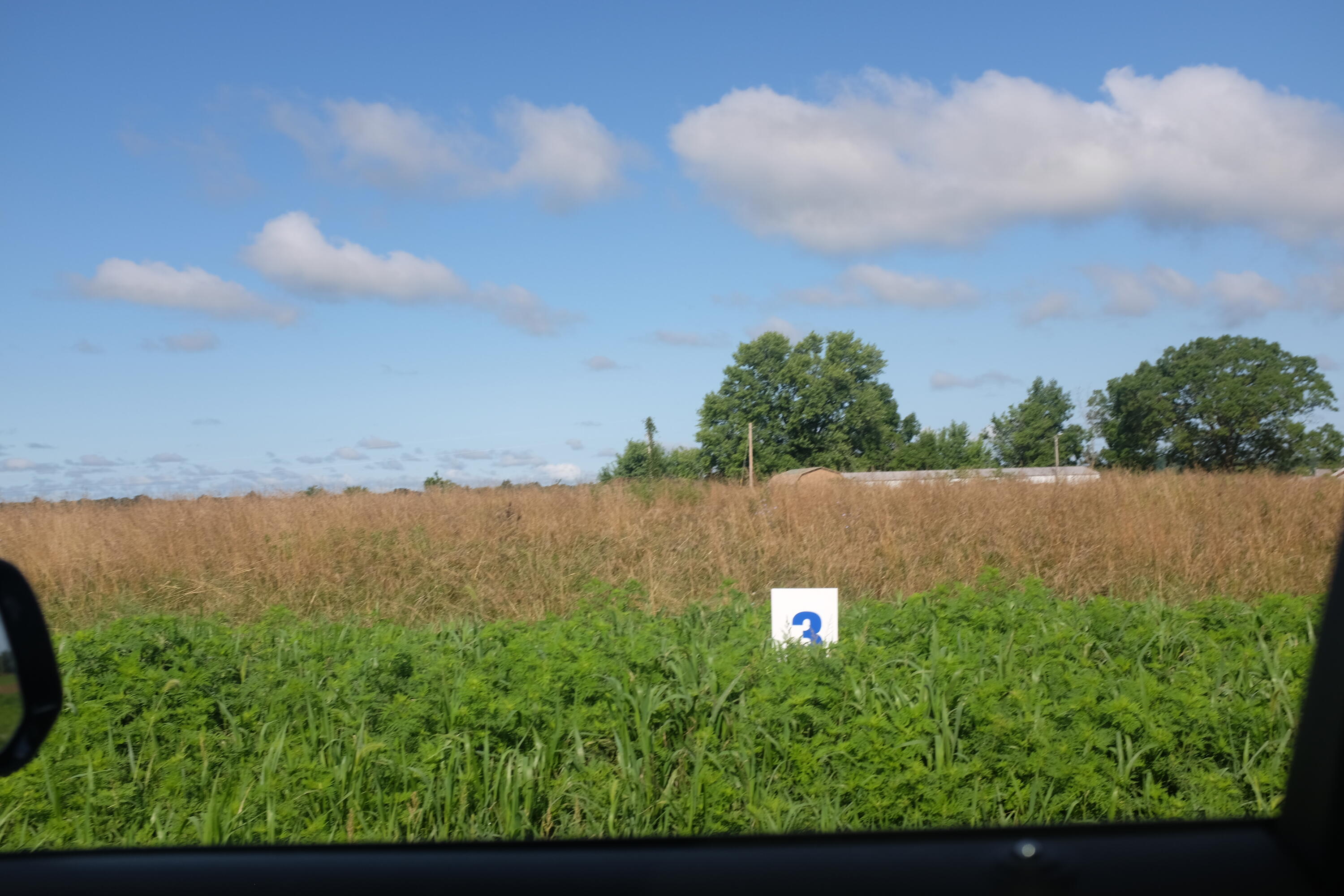 205 Dove Lane Lot 61 Property Photo 4