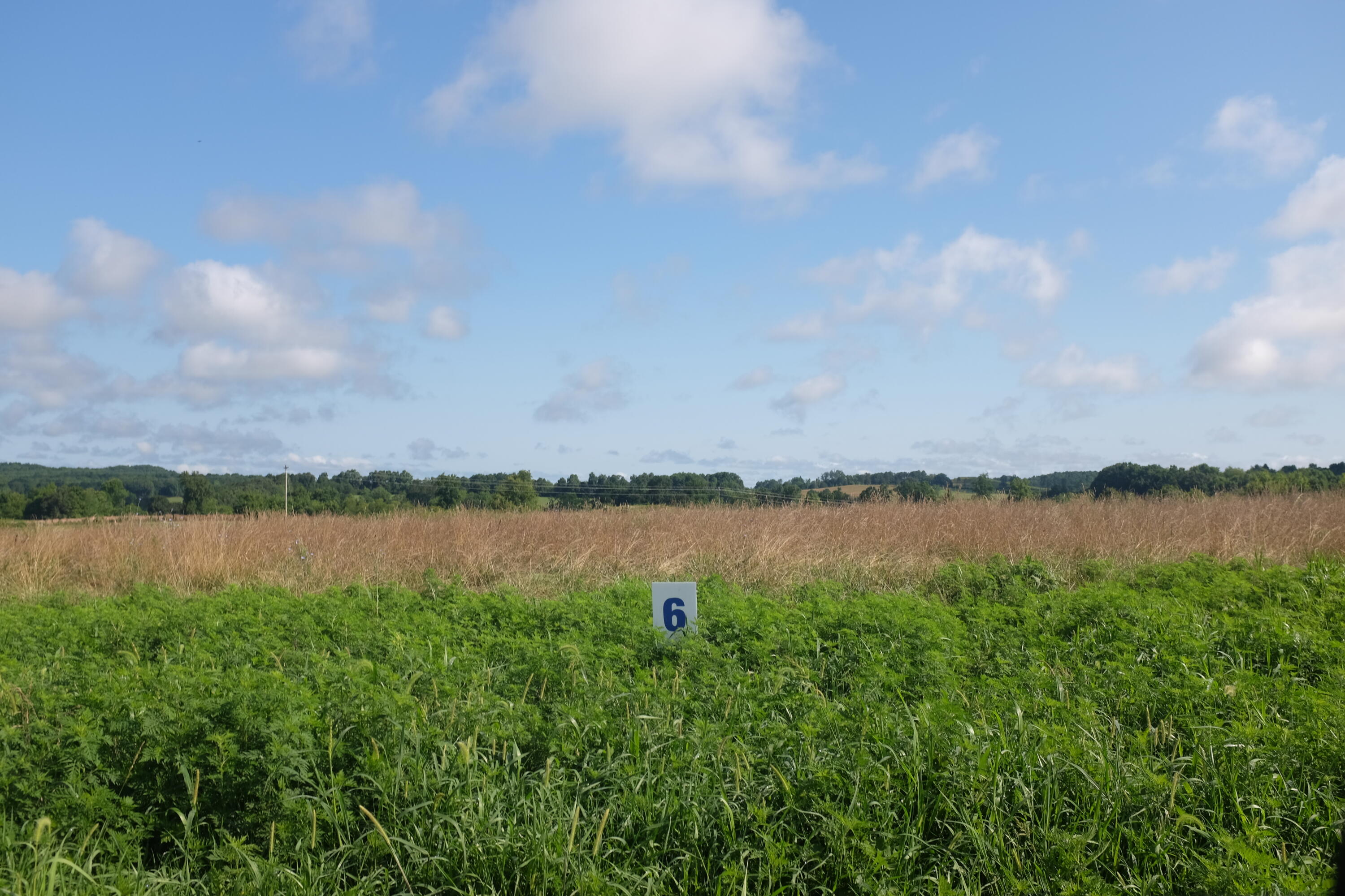 205 Dove Lane Lot 61 Property Photo 5