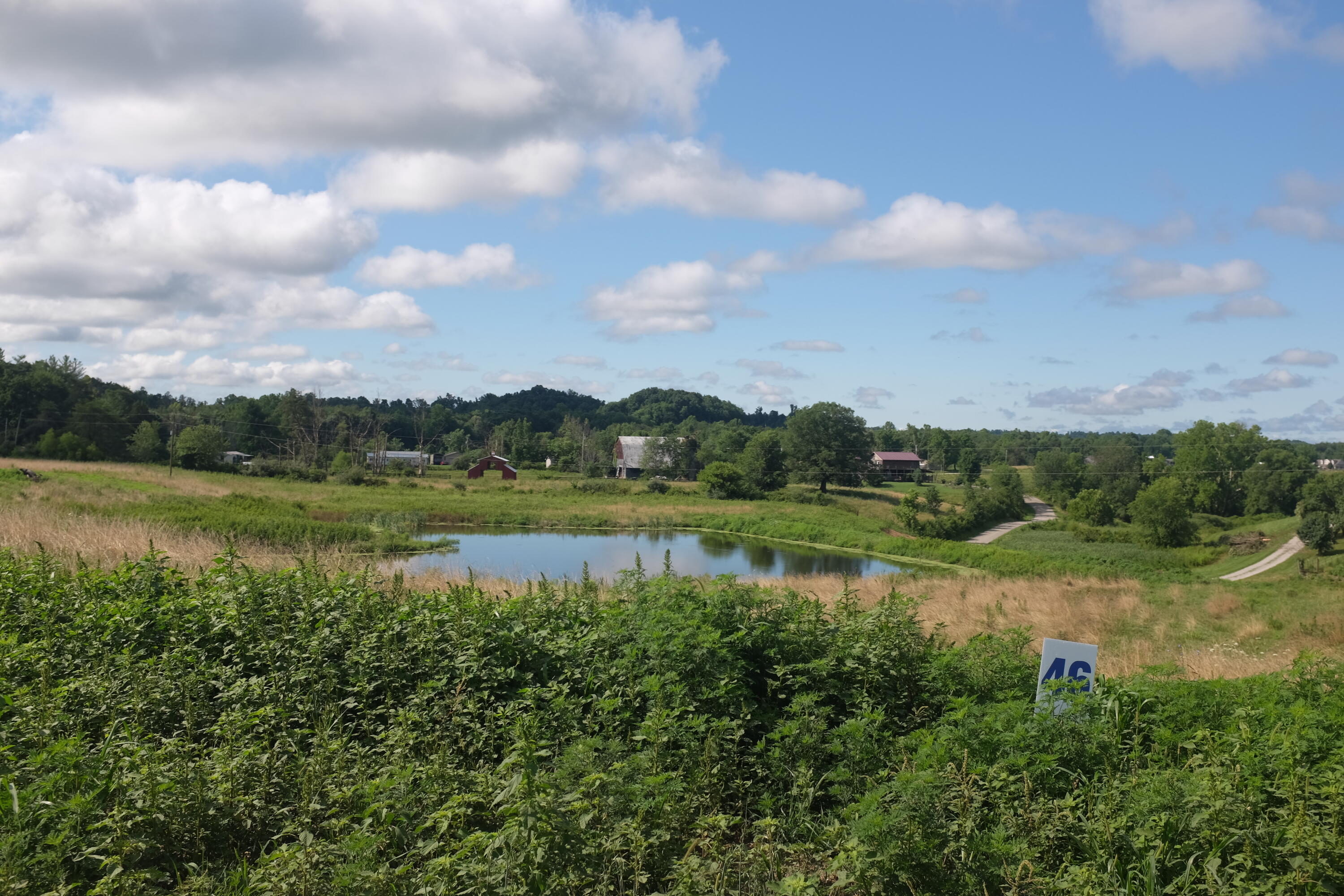 205 Dove Lane Lot 61 Property Photo 6