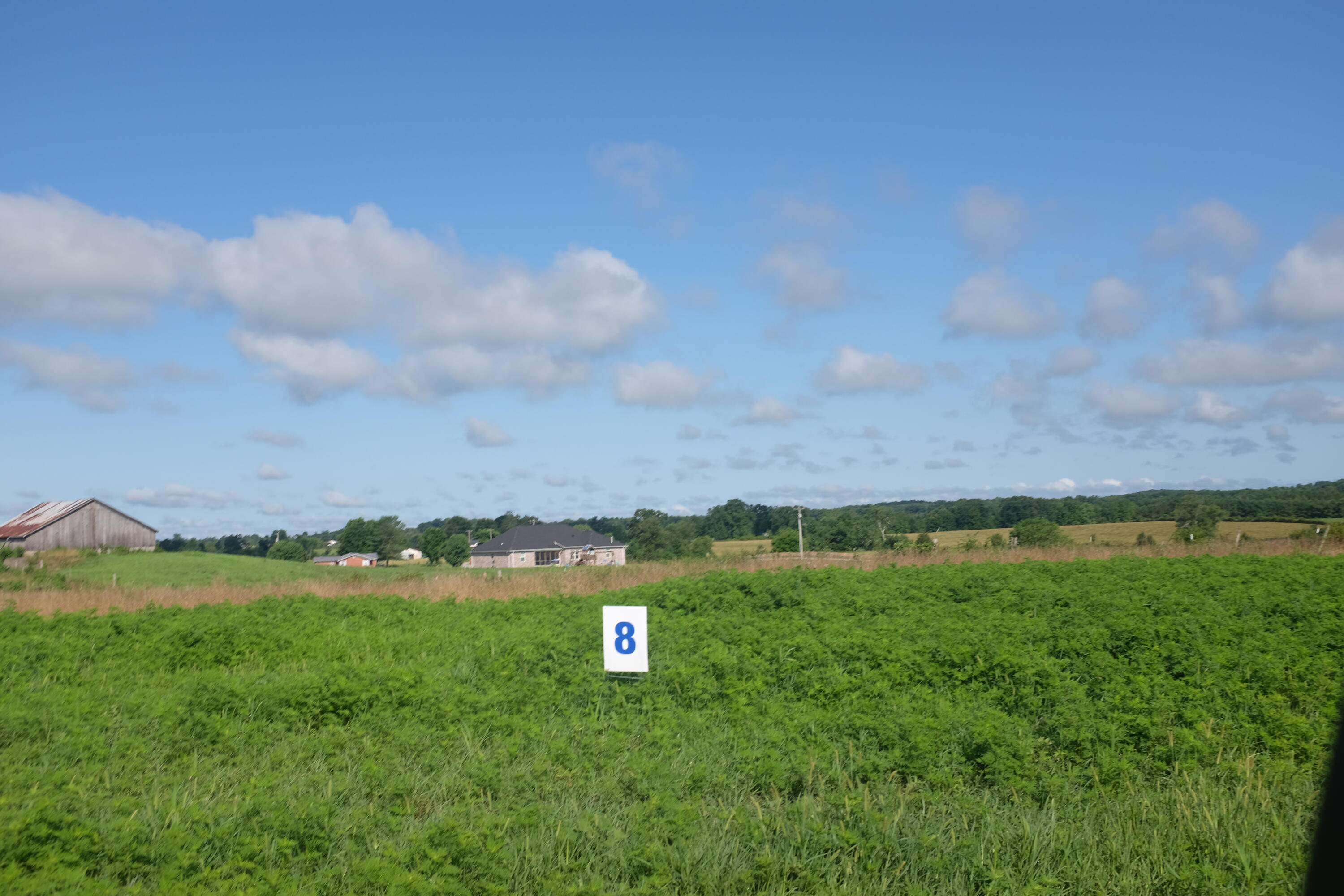 205 Dove Lane Lot 61 Property Photo 8