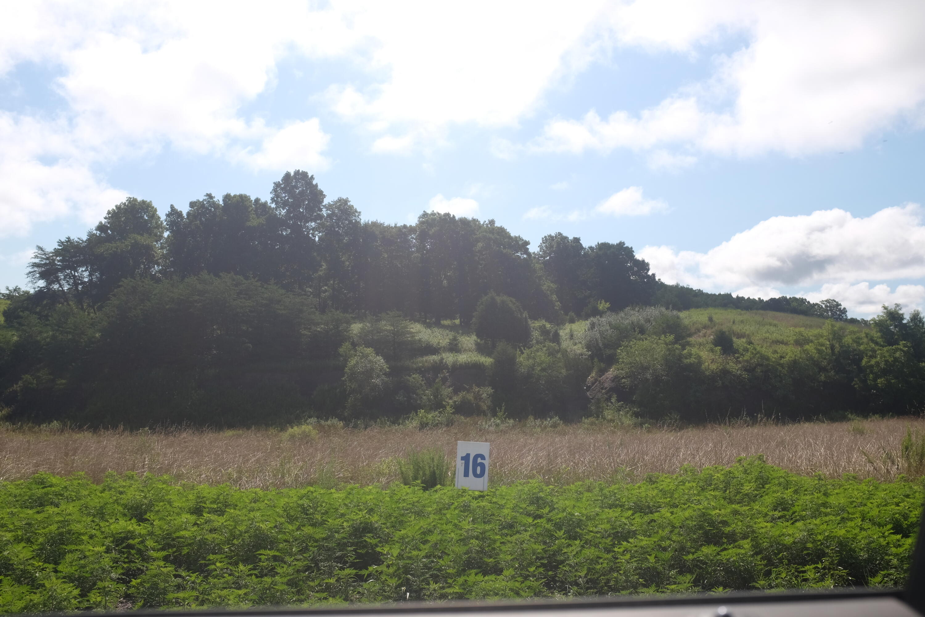 205 Dove Lane Lot 61 Property Photo 9