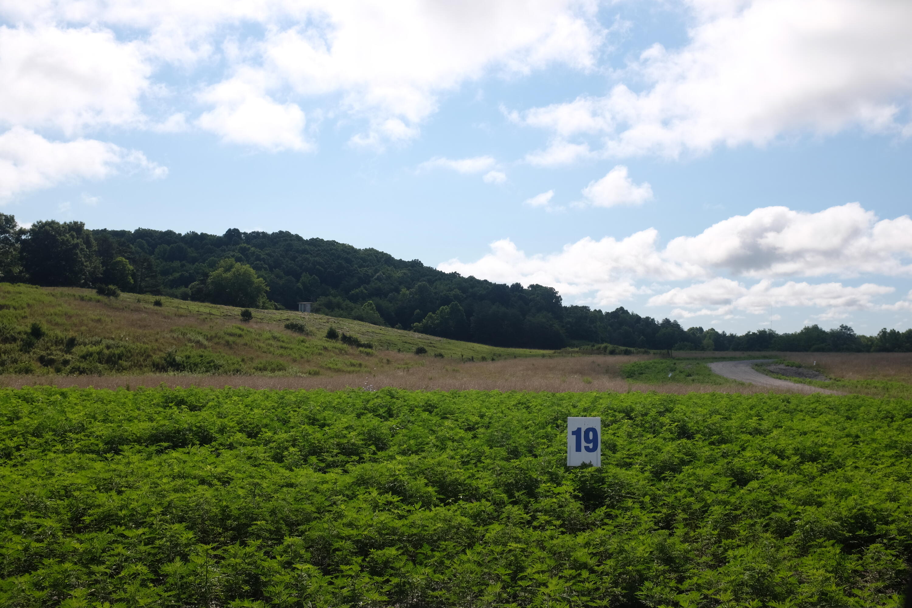 205 Dove Lane Lot 61 Property Photo 11