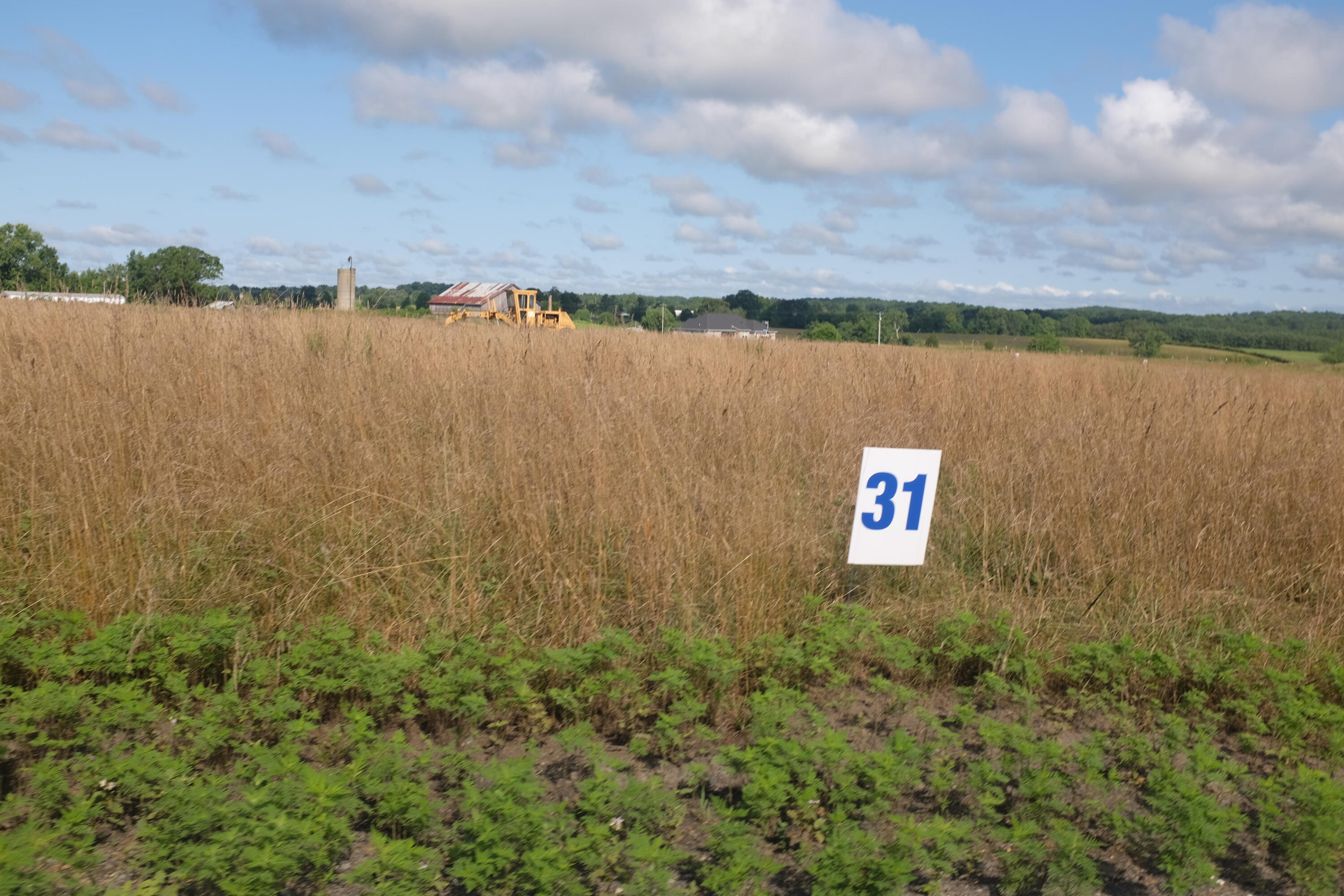 205 Dove Lane Lot 61 Property Photo 14