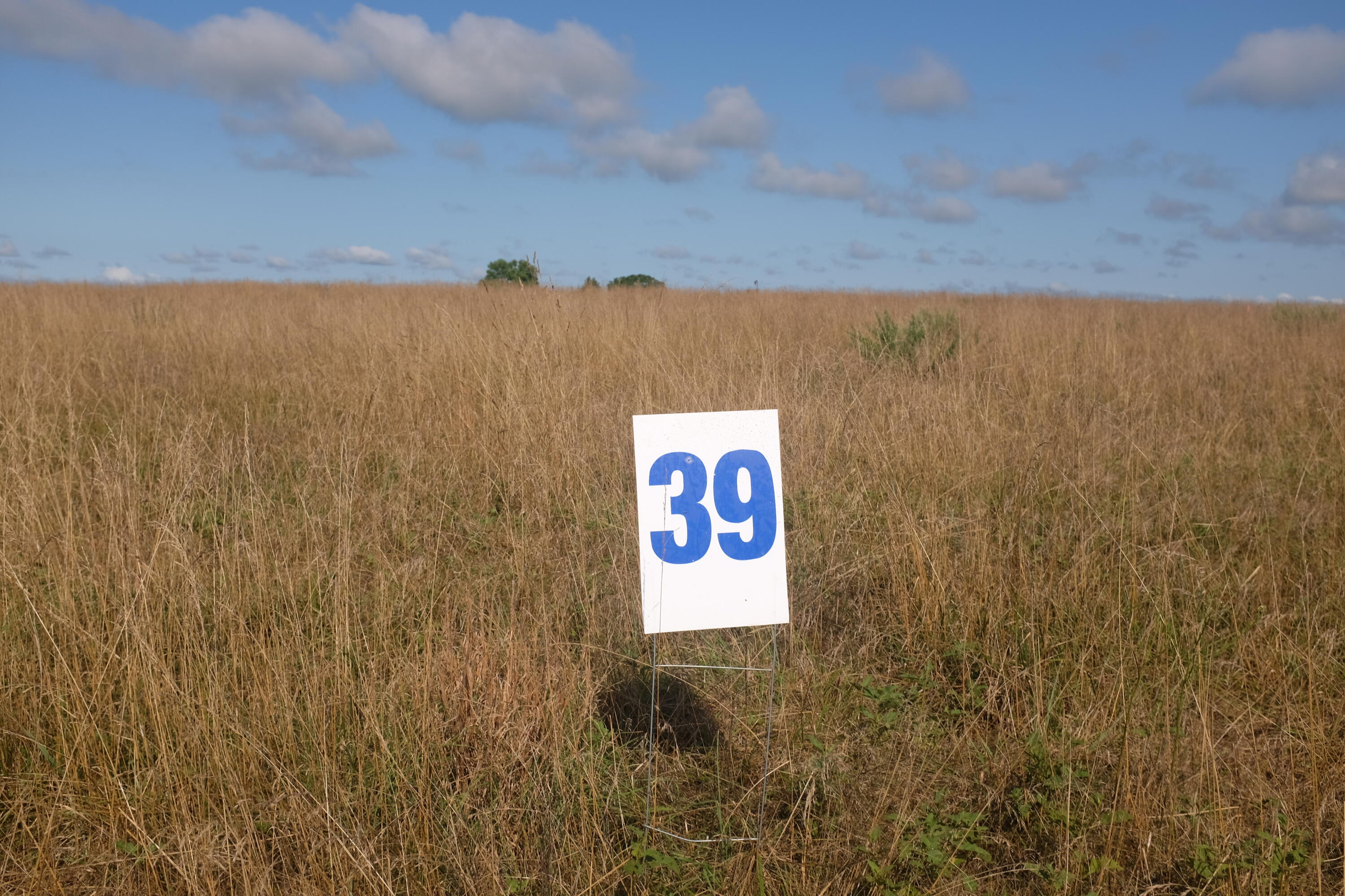 205 Dove Lane Lot 61 Property Photo 15