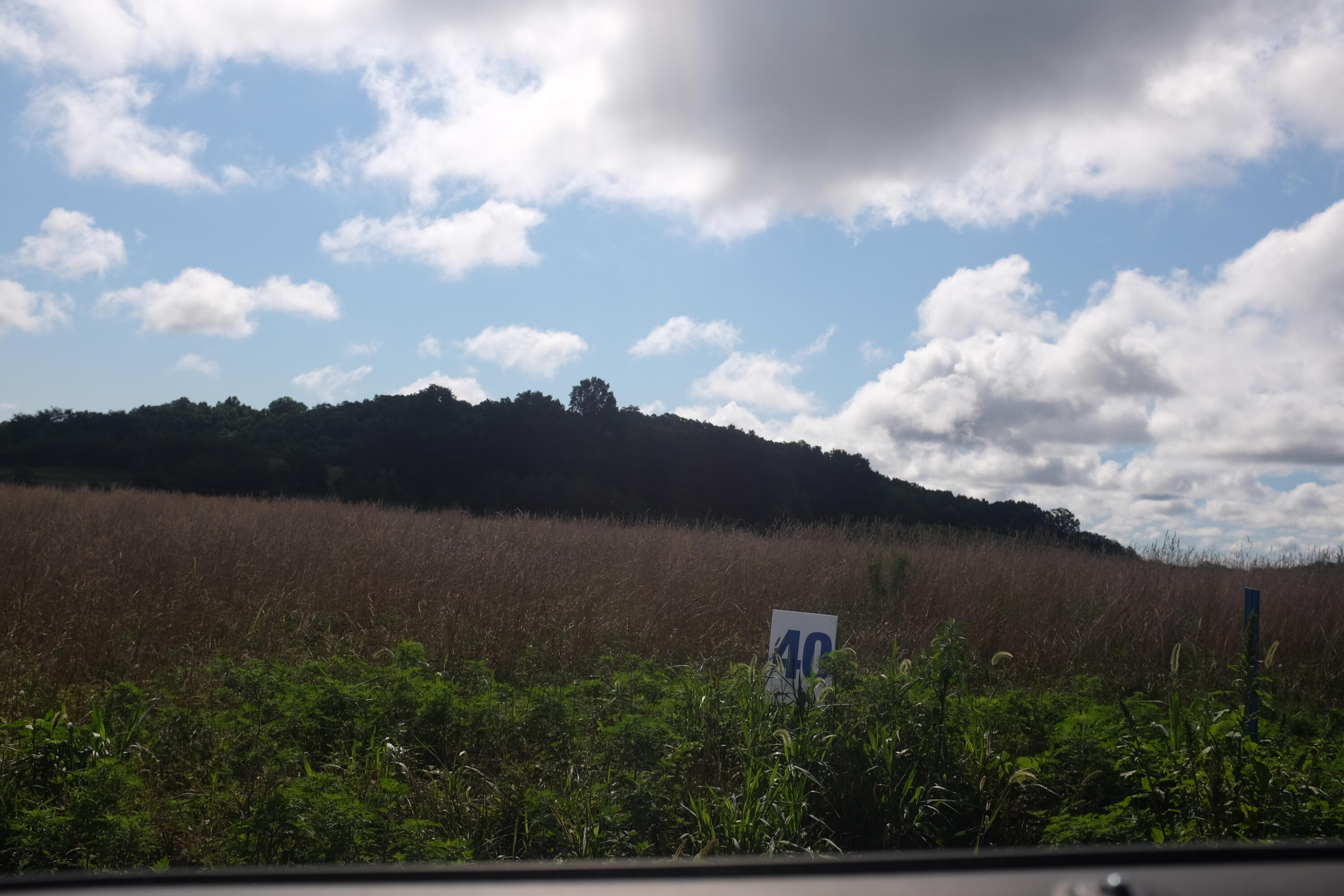 205 Dove Lane Lot 61 Property Photo 18