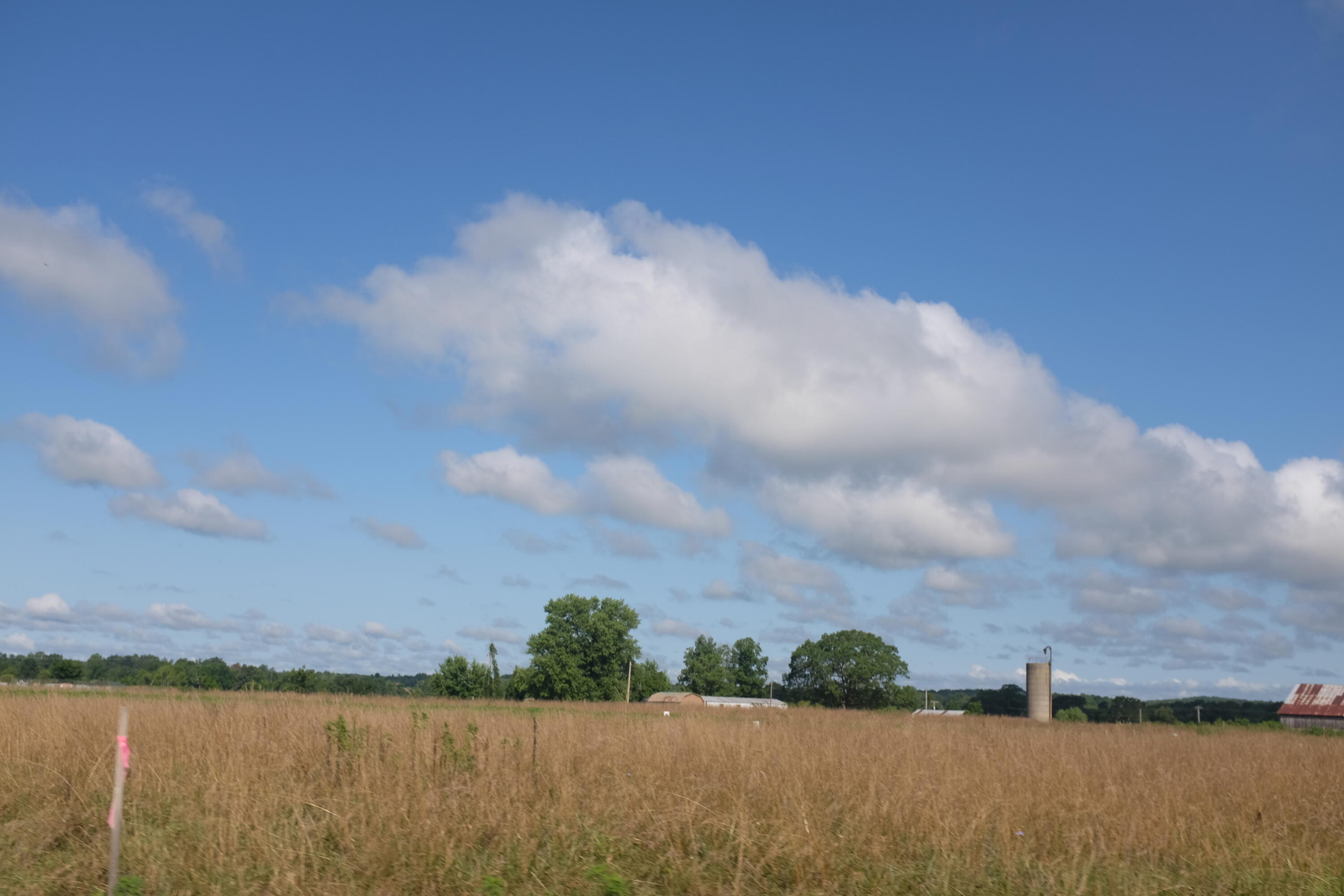 205 Dove Lane Lot 61 Property Photo 19