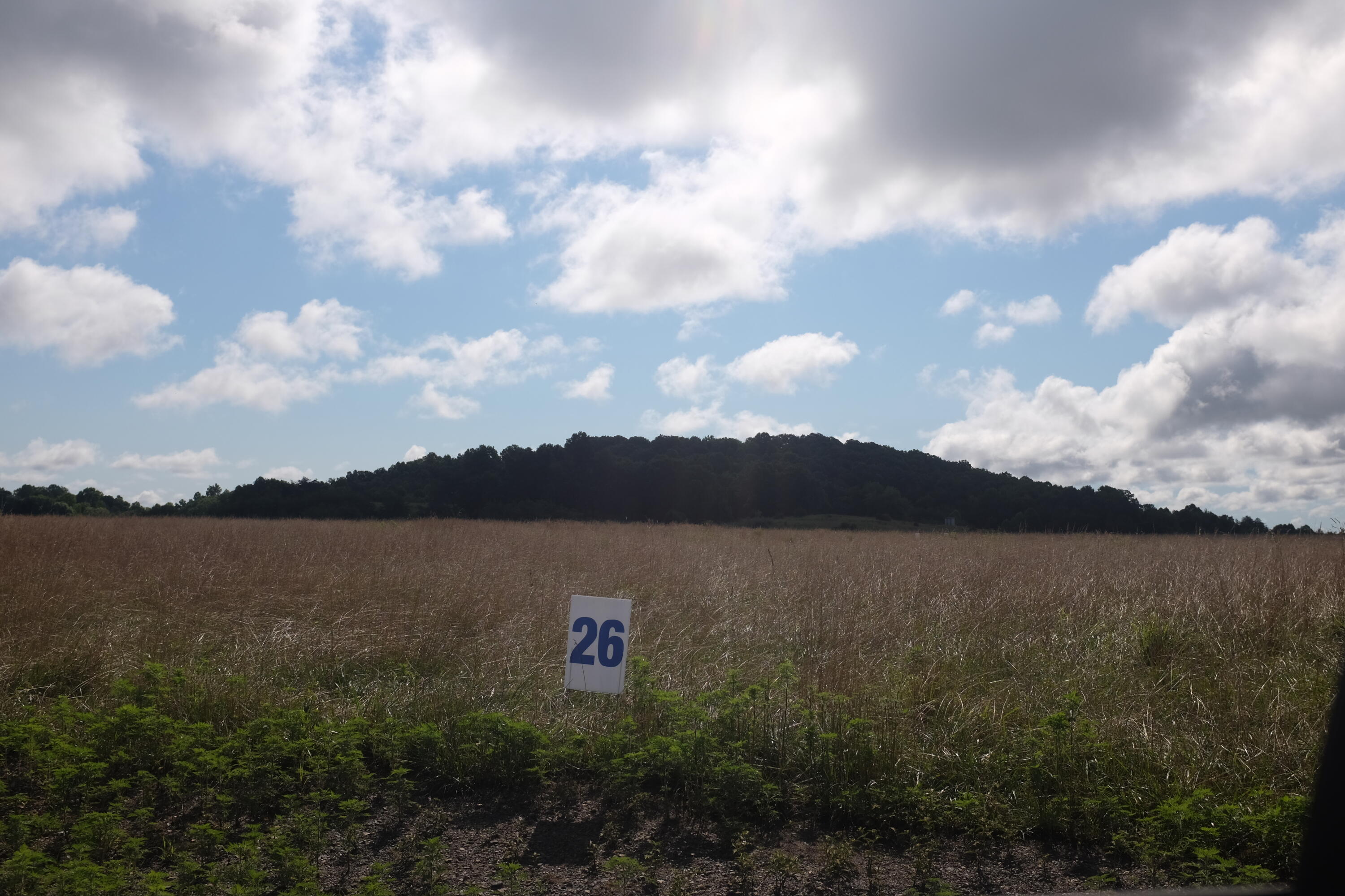 205 Dove Lane Lot 61 Property Photo 21