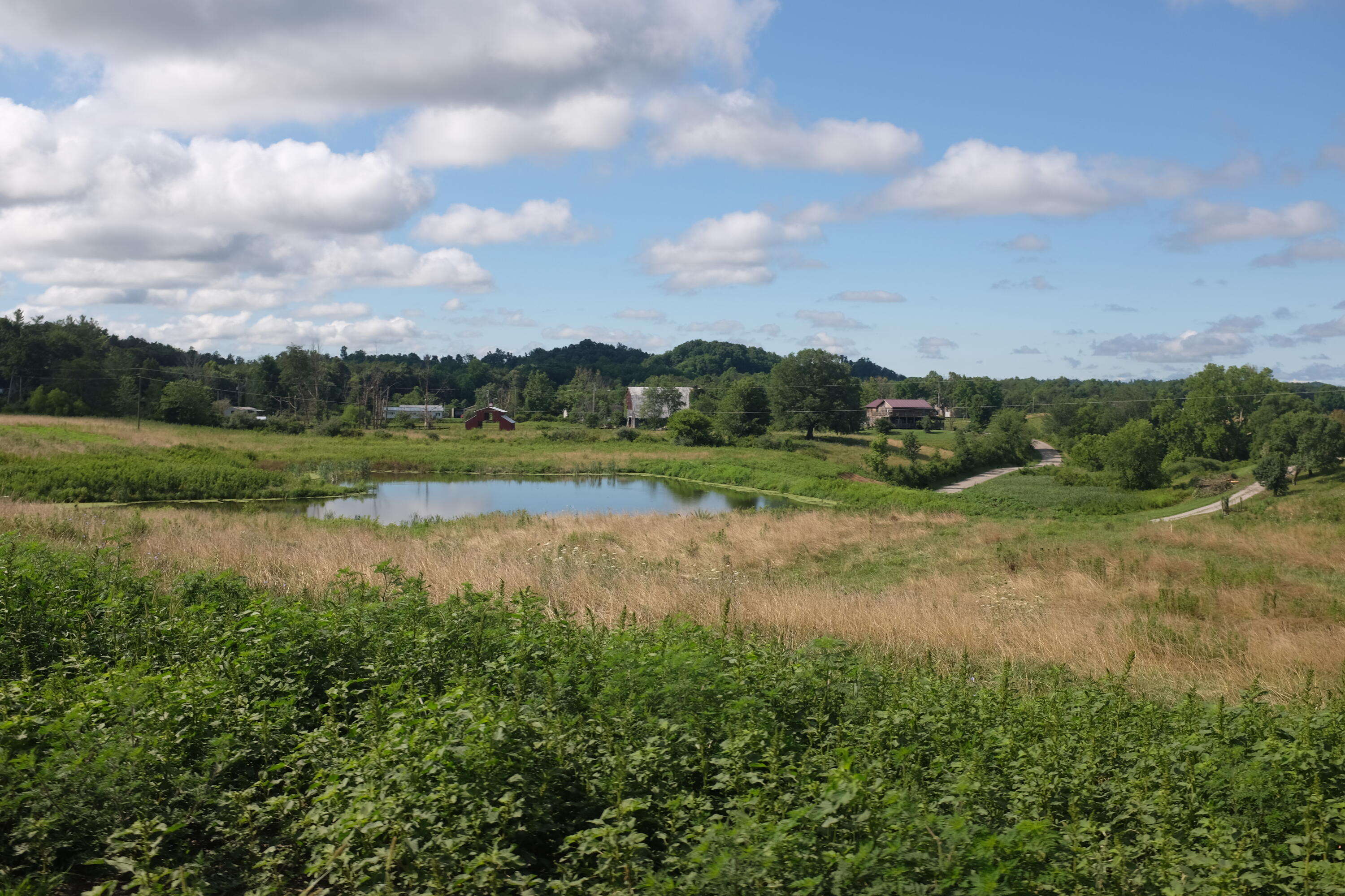 205 Dove Lane Lot 61 Property Photo 23