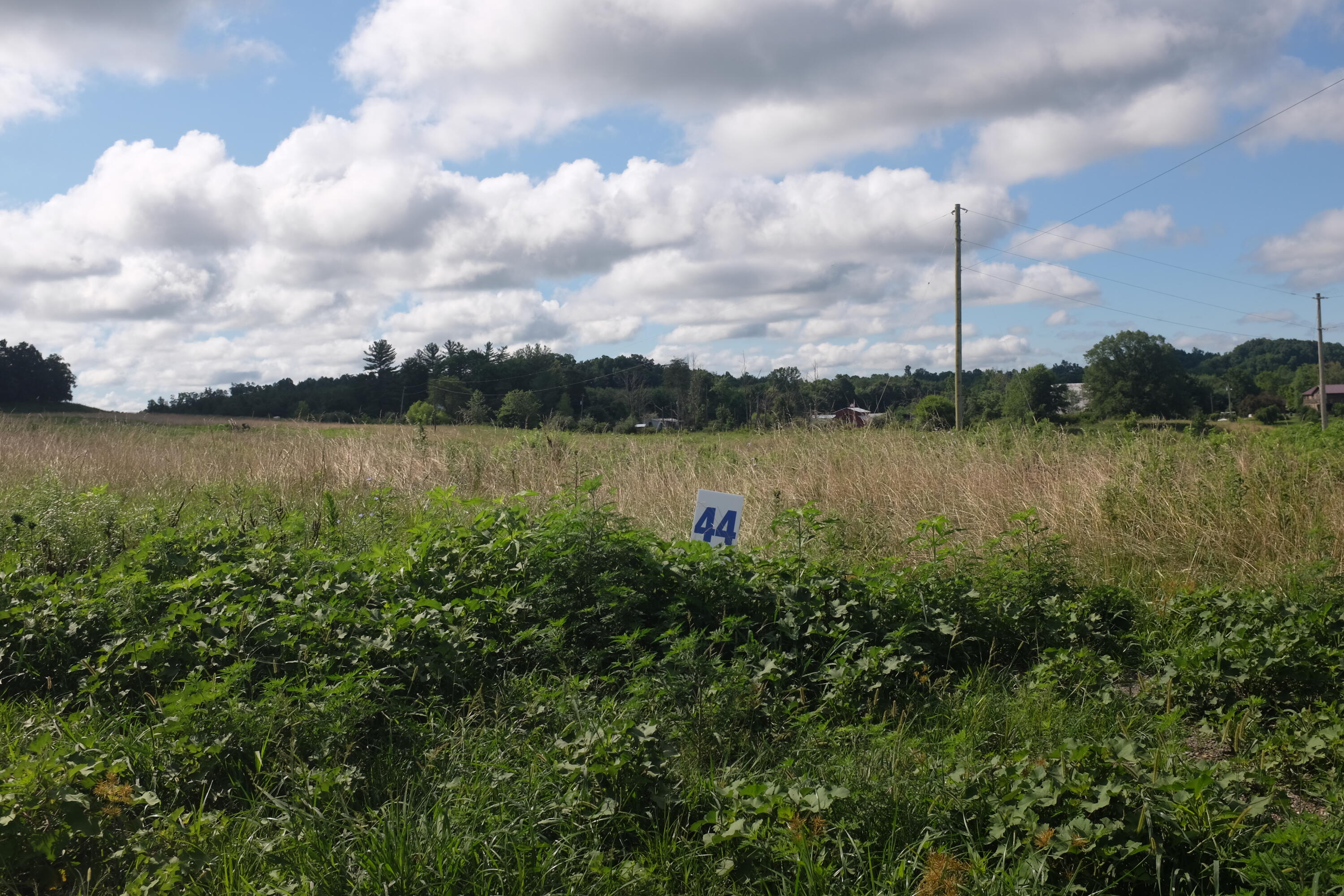 205 Dove Lane Lot 61 Property Photo 24