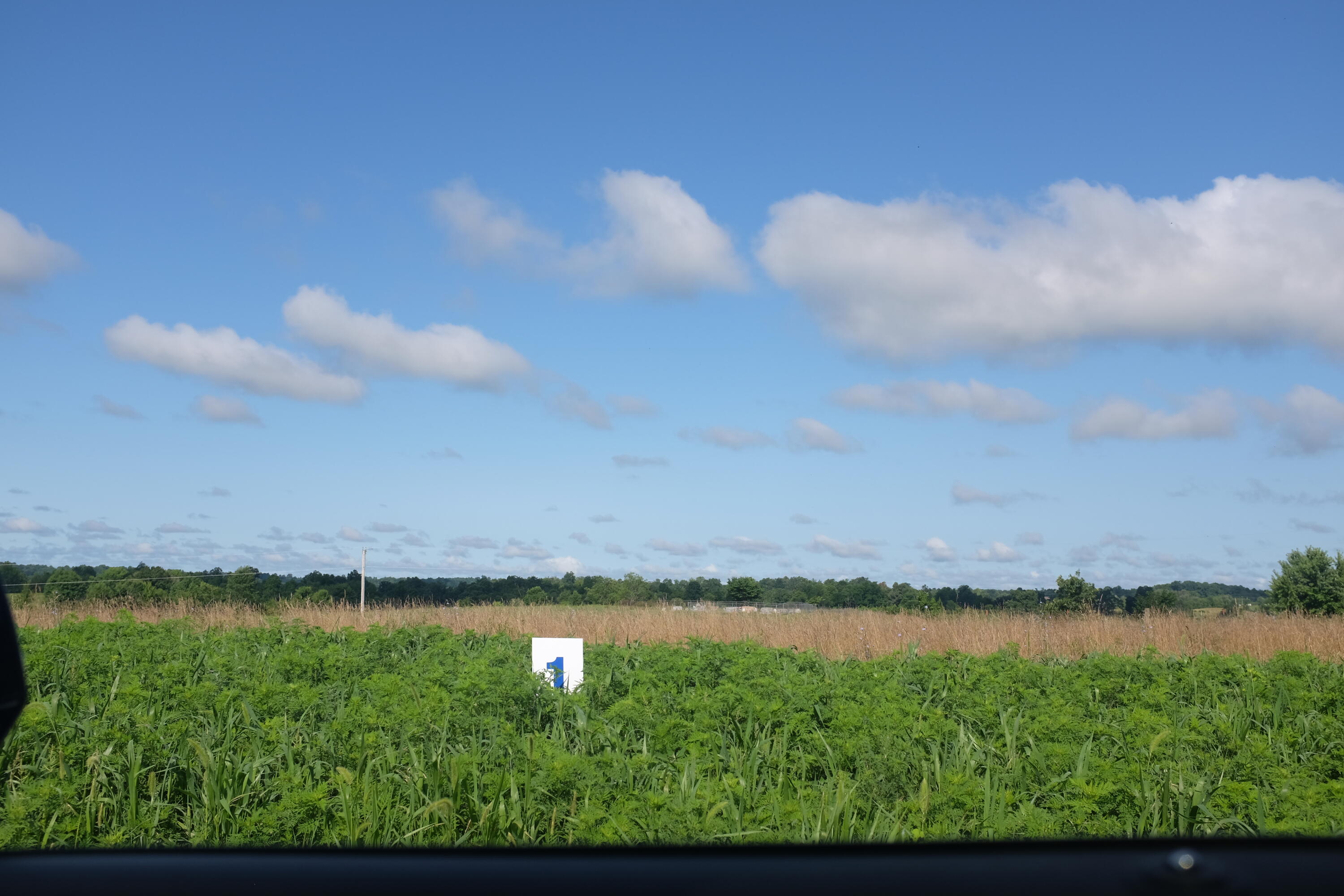 205 Dove Lane Lot 61 Property Photo 25