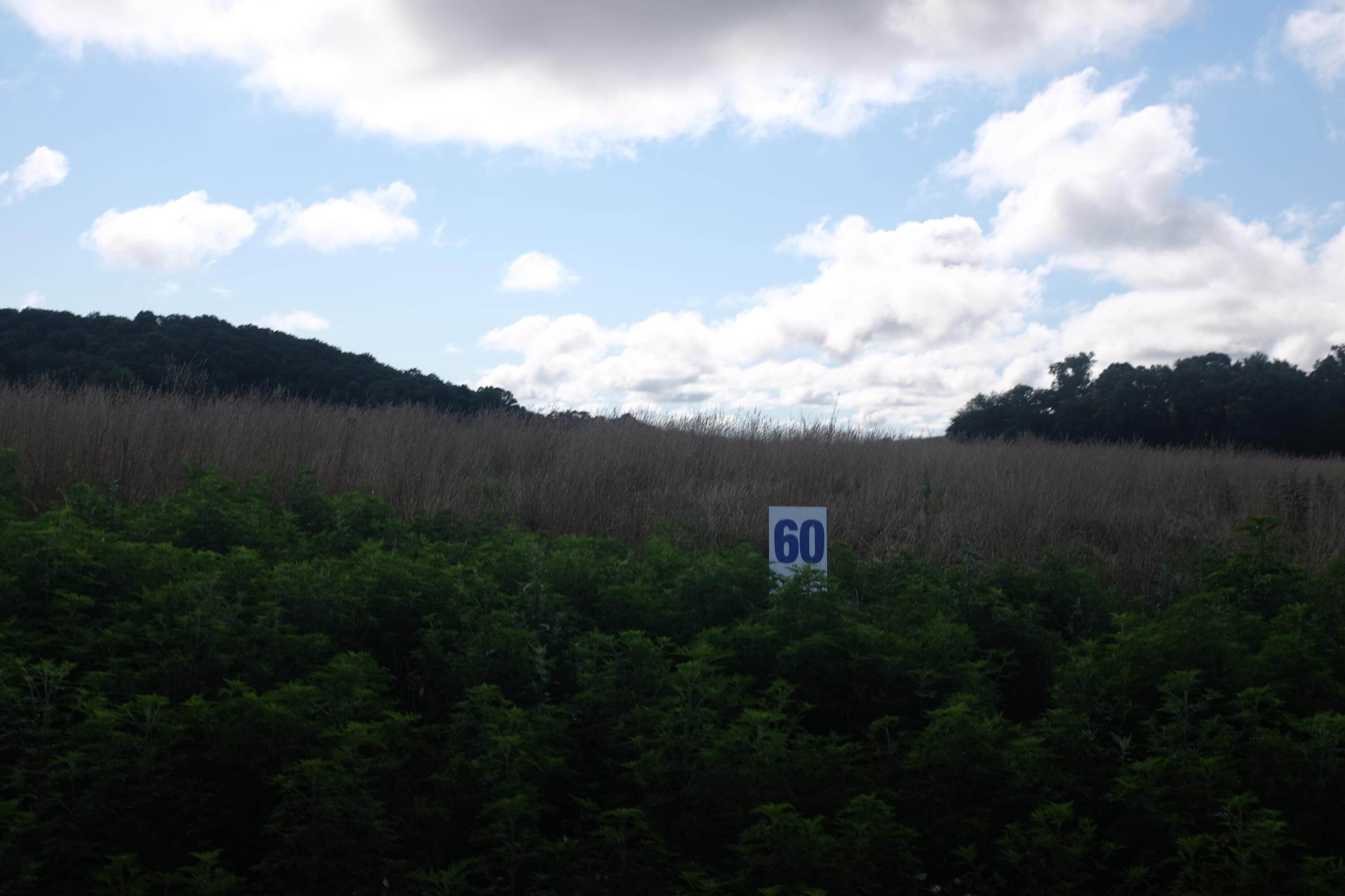 205 Dove Lane Lot 61 Property Photo 28