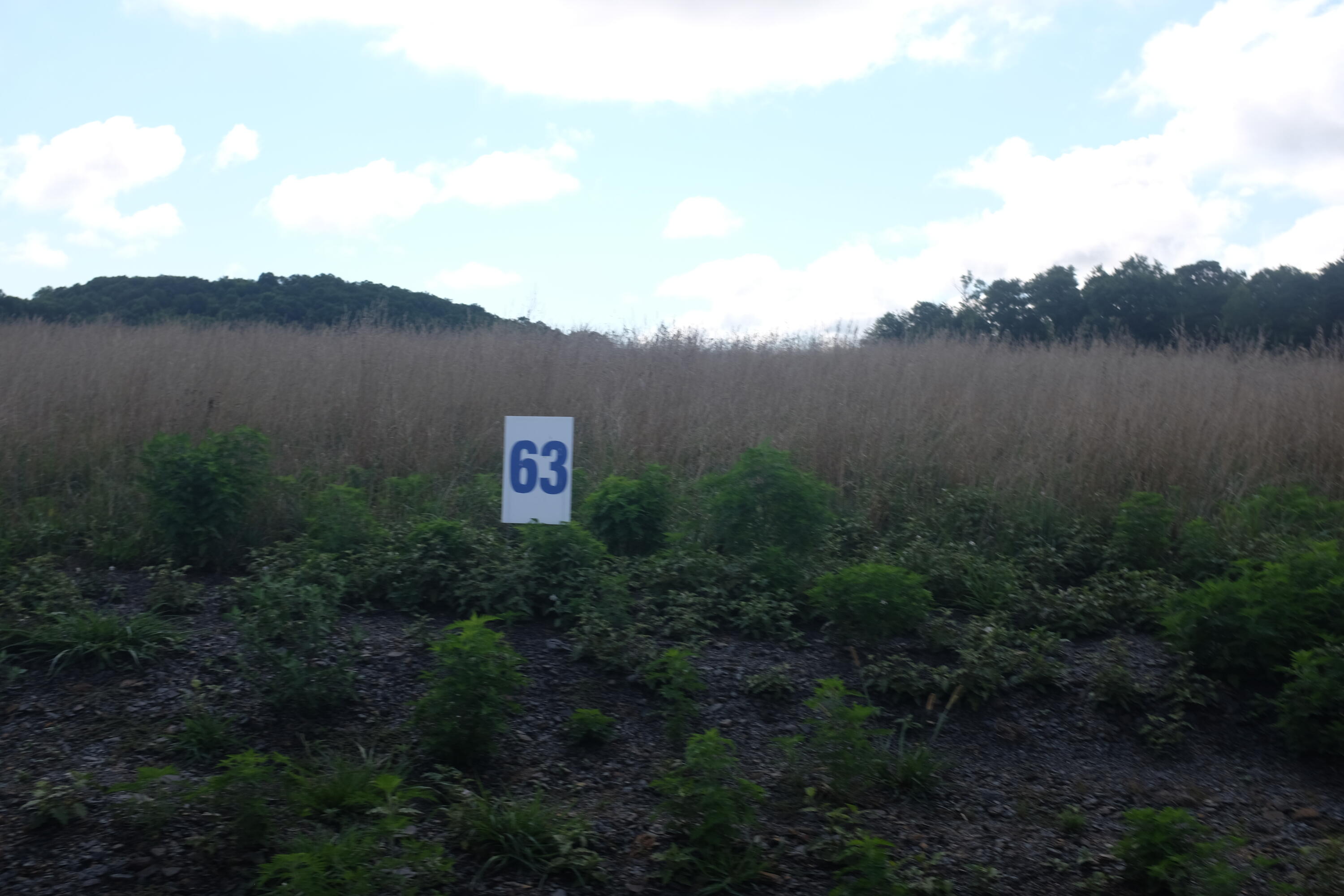 205 Dove Lane Lot 61 Property Photo 30