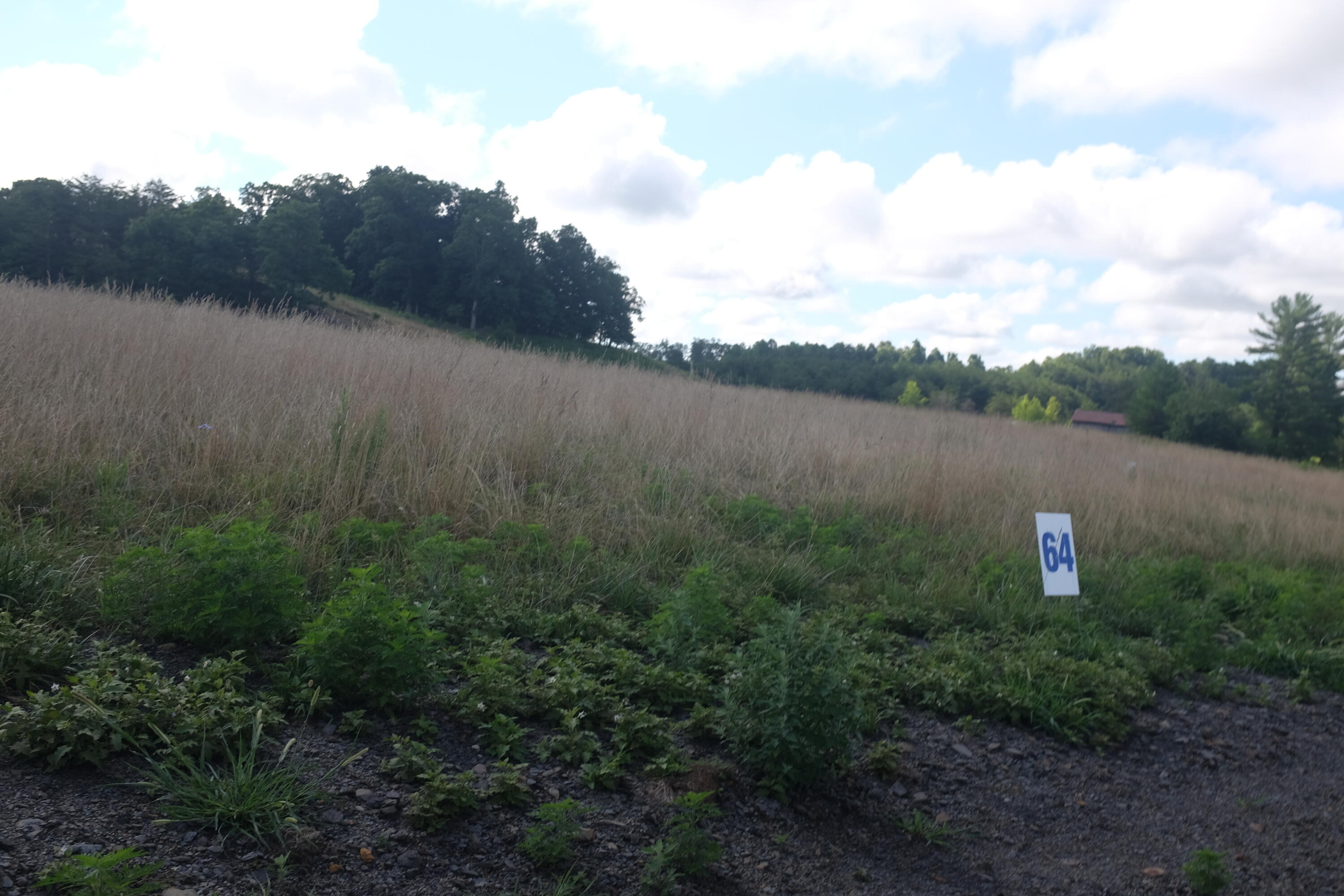 205 Dove Lane Lot 61 Property Photo 31