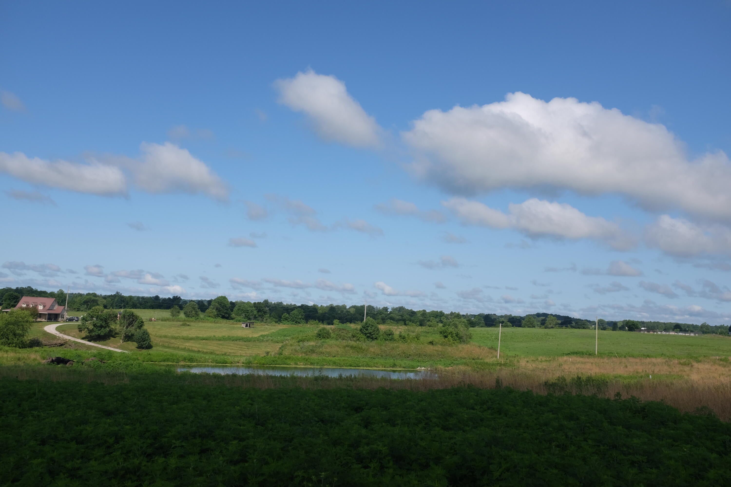 205 Dove Lane Lot 61 Property Photo 32