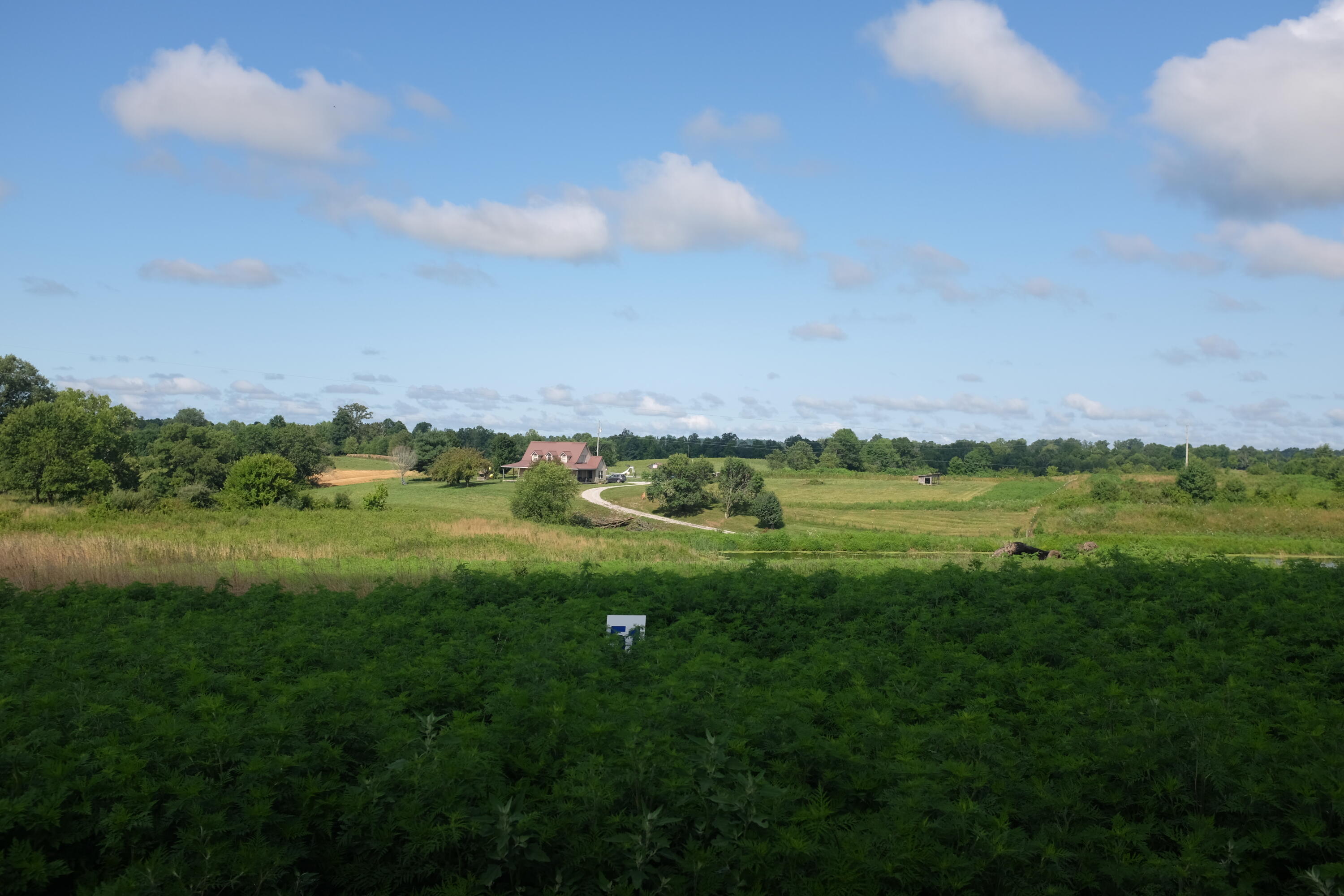 205 Dove Lane Lot 61 Property Photo 33