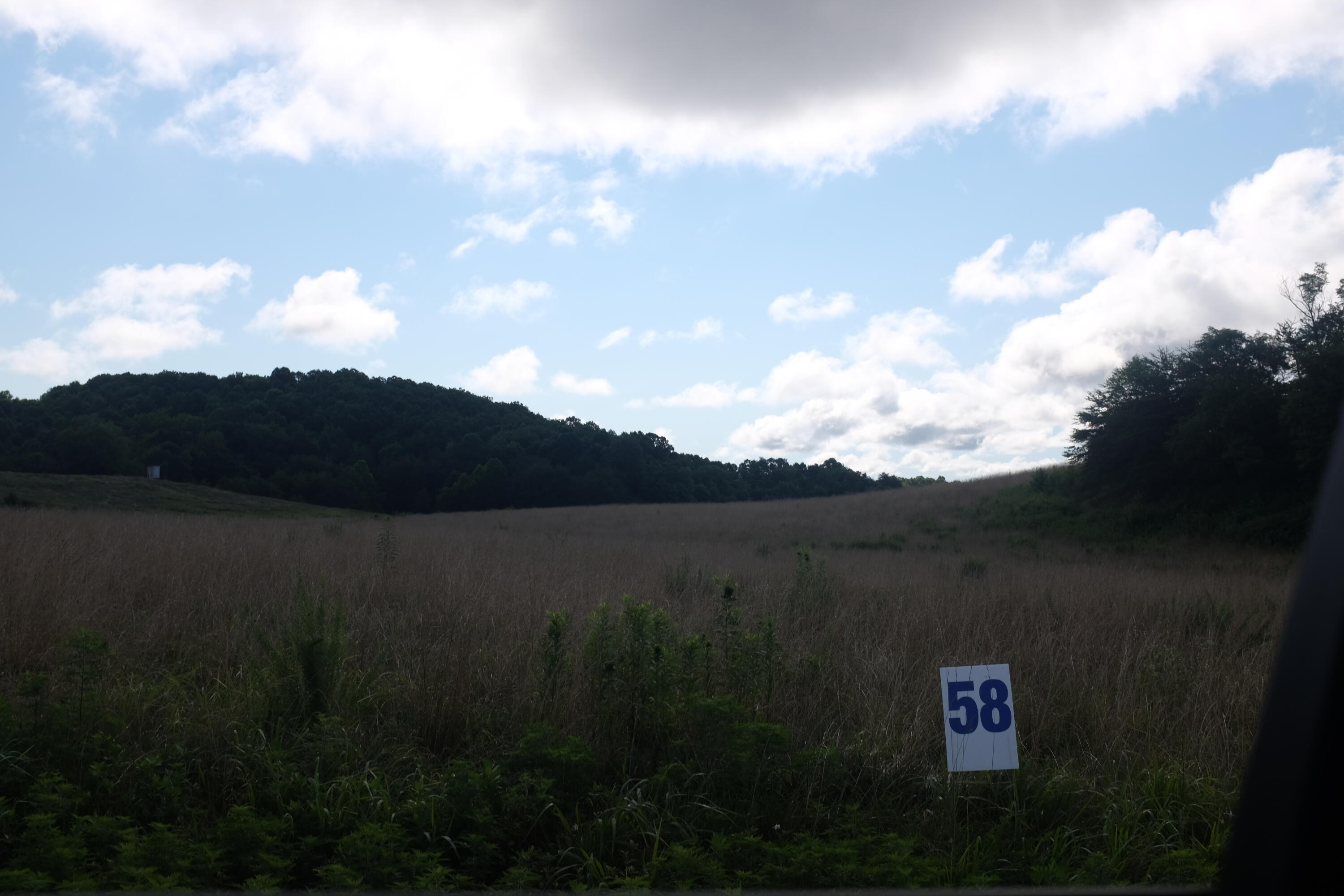 205 Dove Lane Lot 61 Property Photo 38