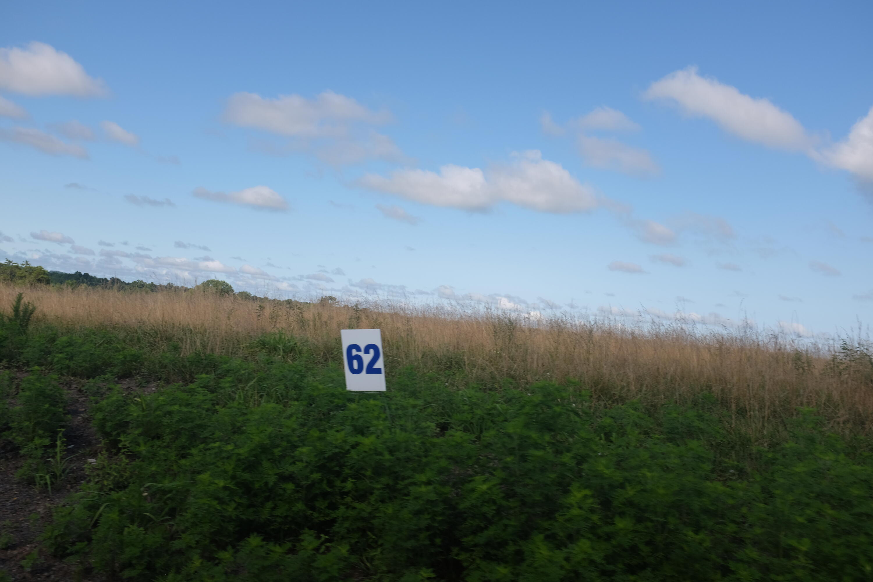 205 Dove Lane Lot 61 Property Photo 39