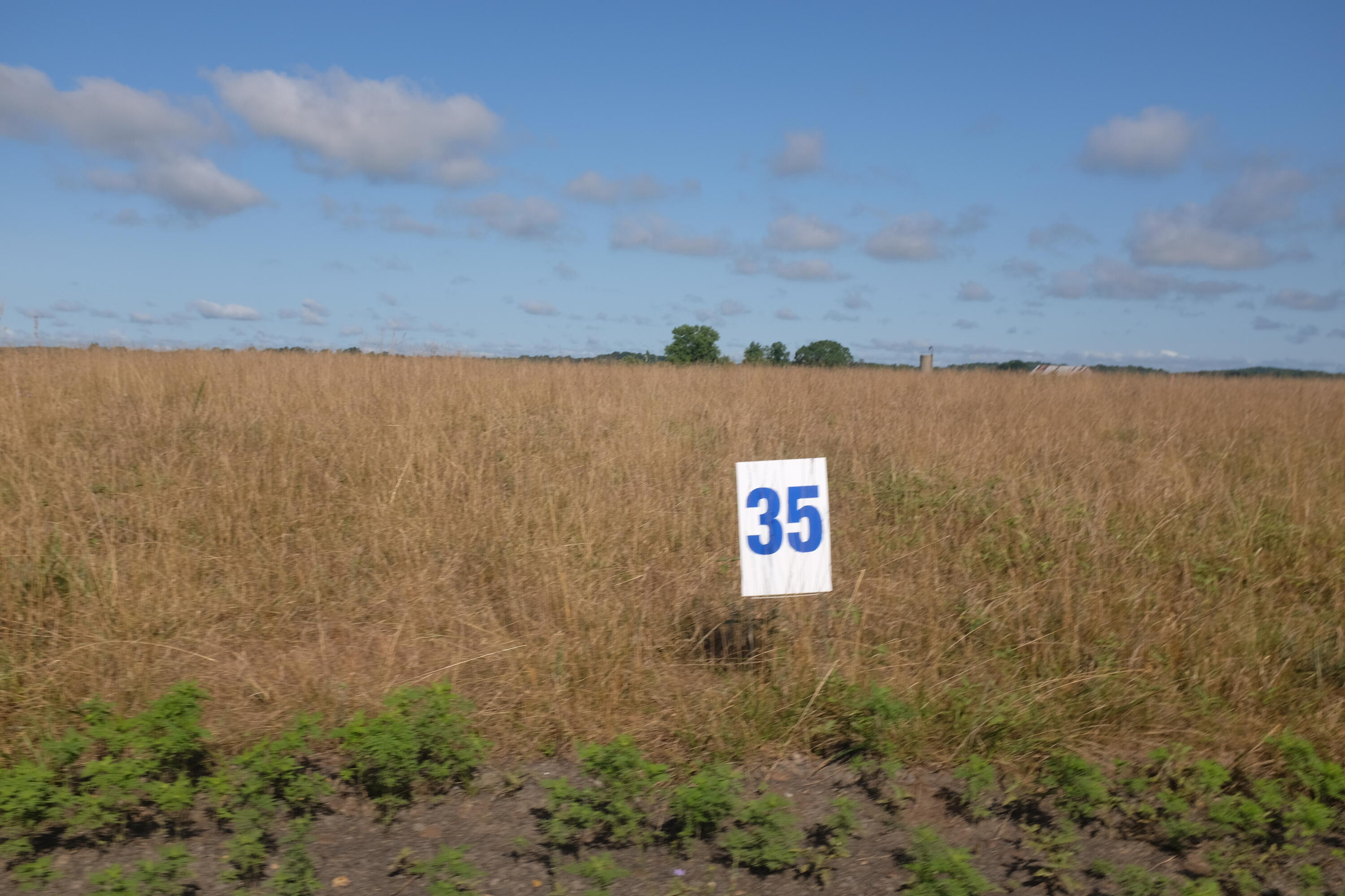 205 Dove Lane Lot 61 Property Photo 41