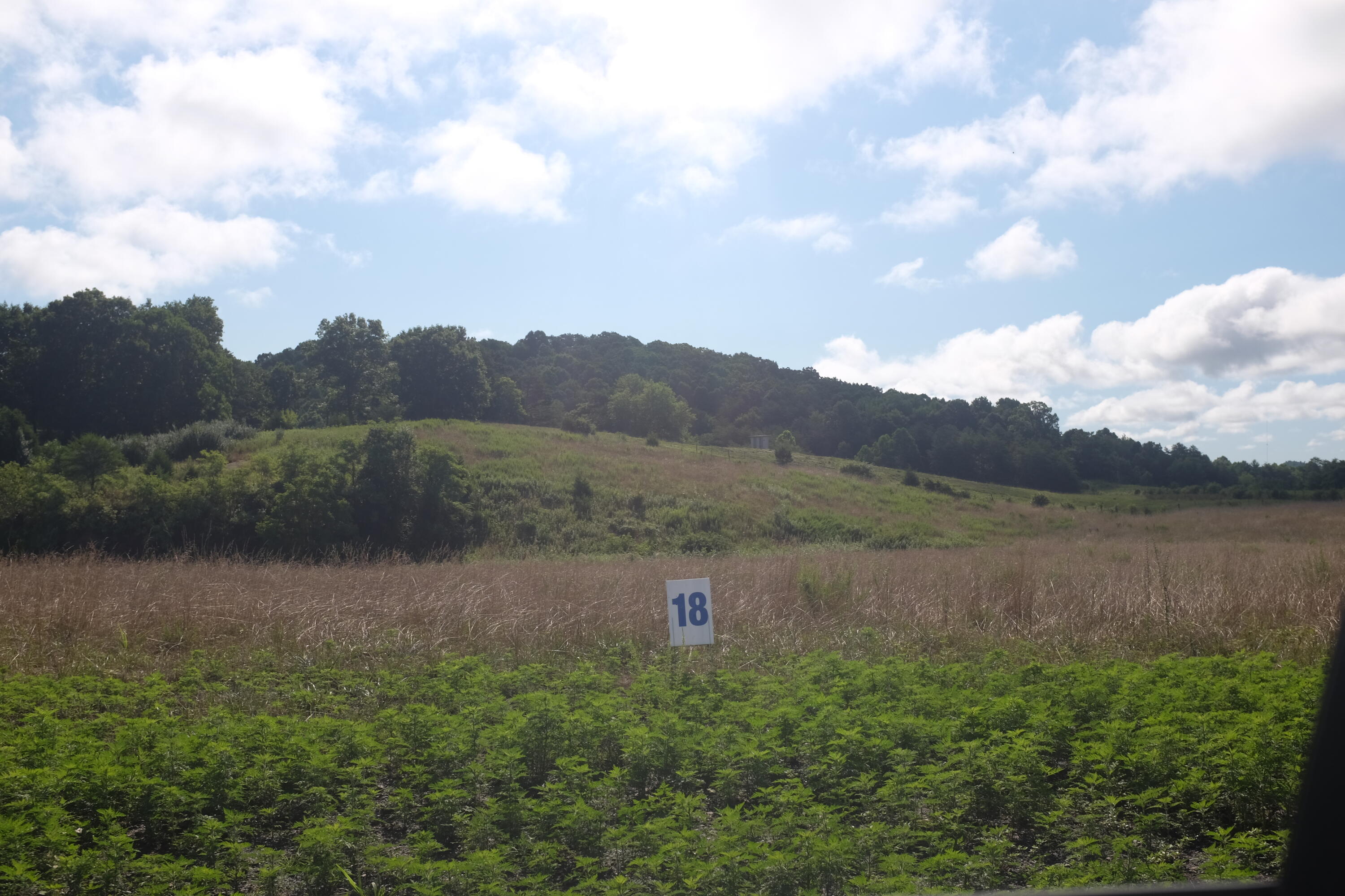205 Dove Lane Lot 61 Property Photo 42