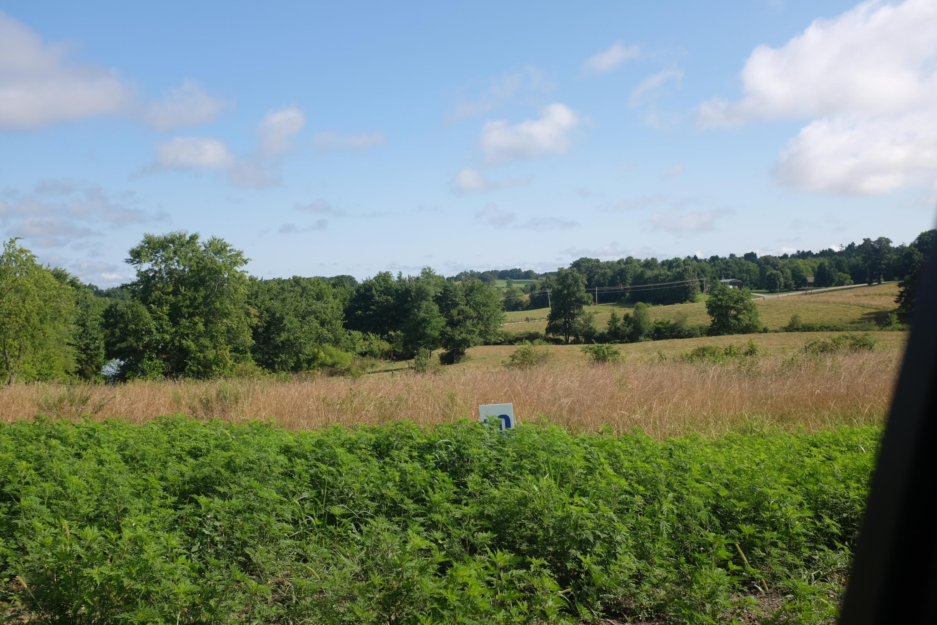 205 Dove Lane Lot 61 Property Photo 46