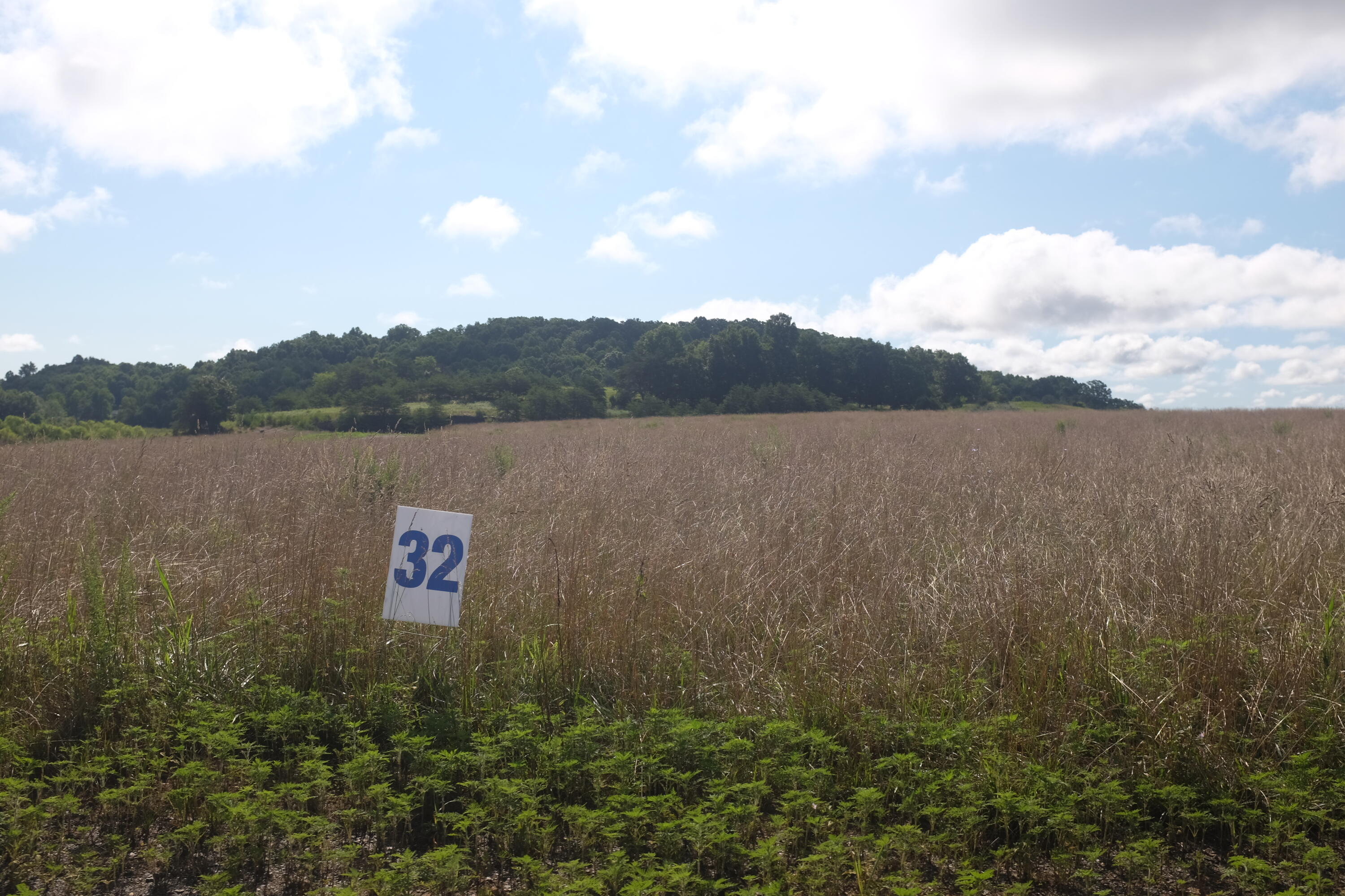 205 Dove Lane Lot 61 Property Photo 47