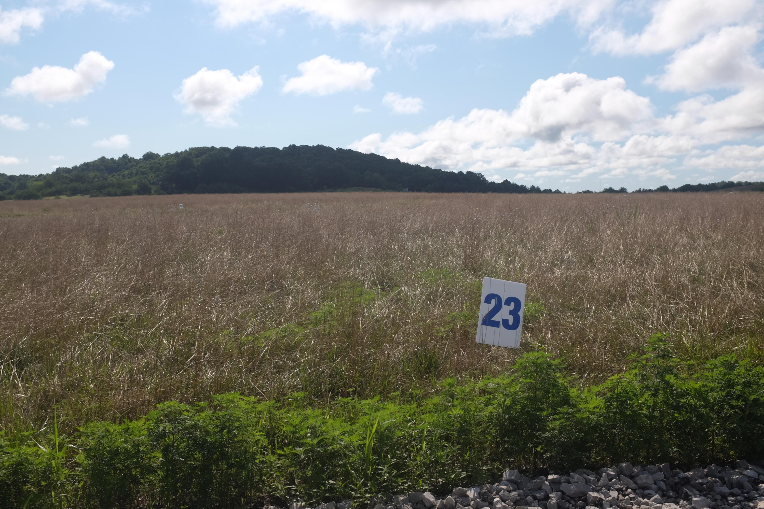 205 Dove Lane Lot 61 Property Photo 49