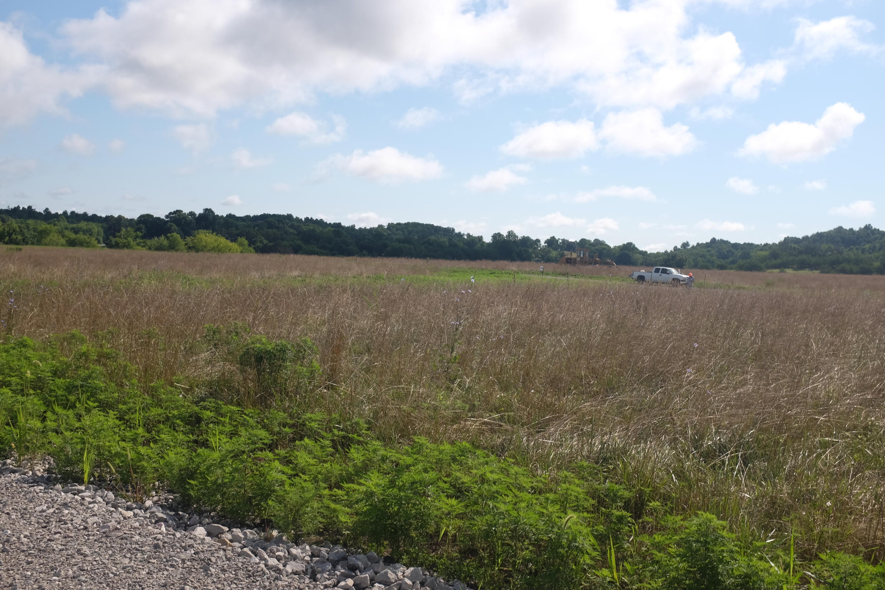 205 Dove Lane Lot 61 Property Photo 50