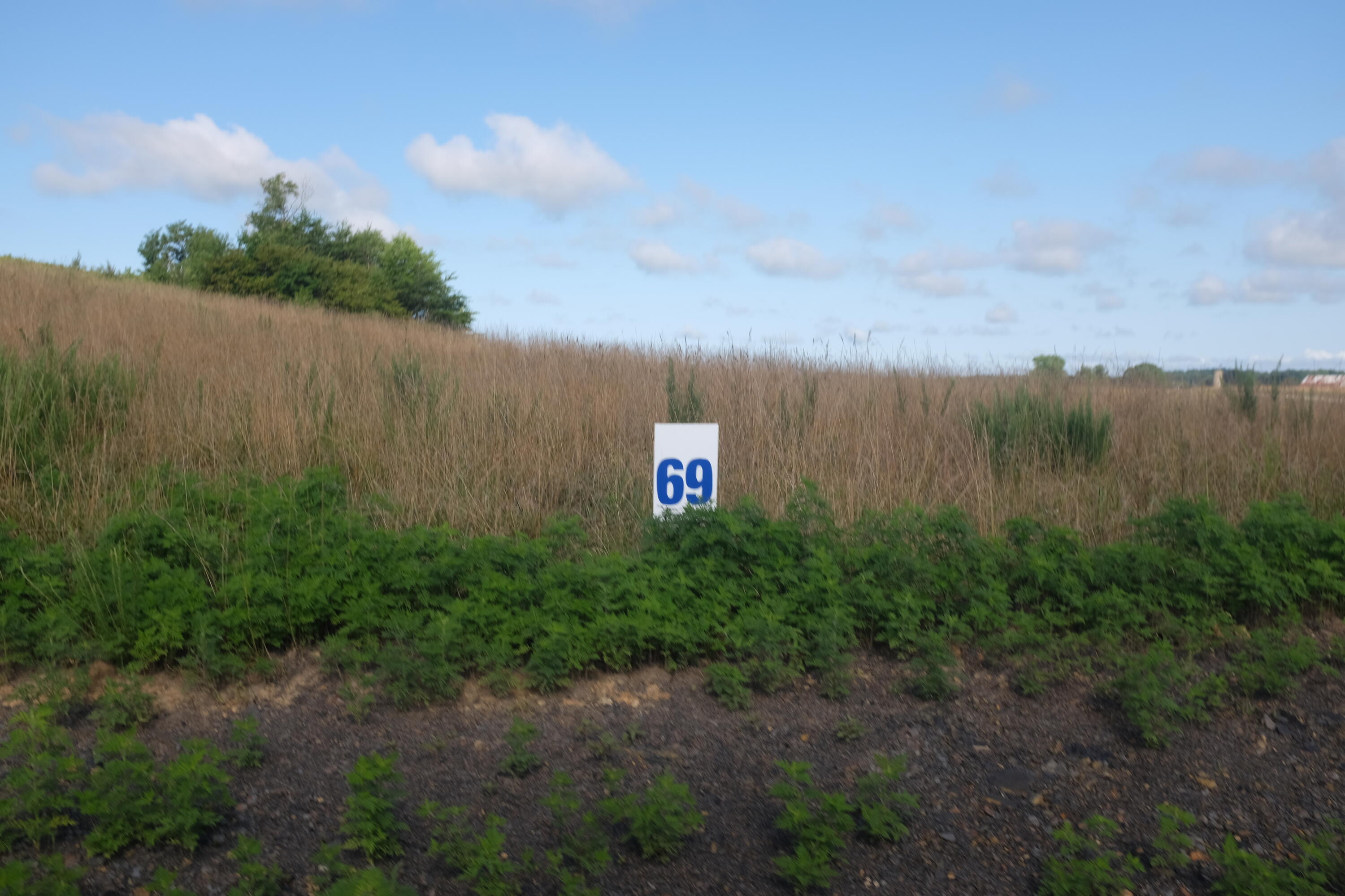 205 Dove Lane Lot 61 Property Photo 57