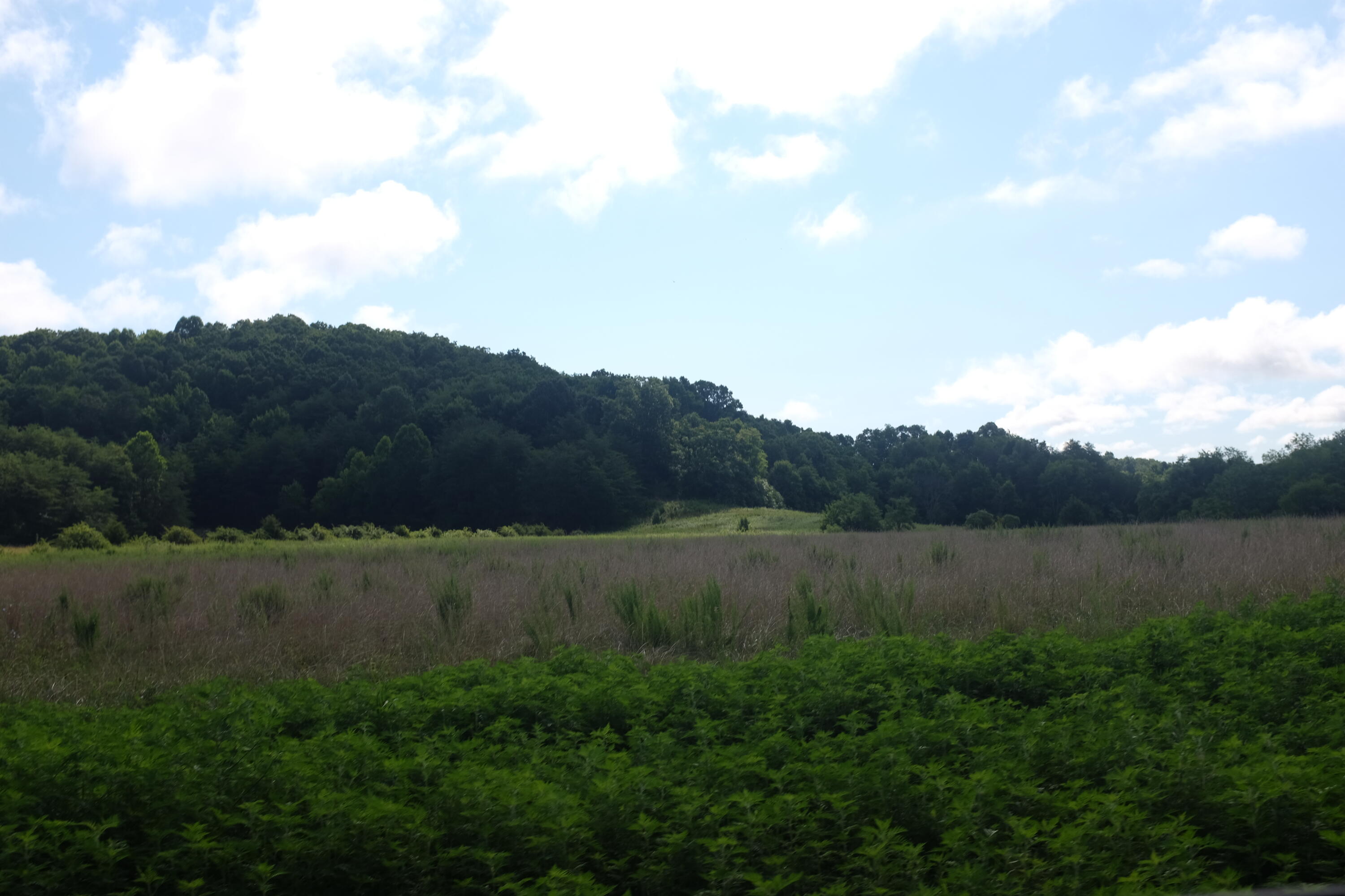 205 Dove Lane Lot 61 Property Photo 58