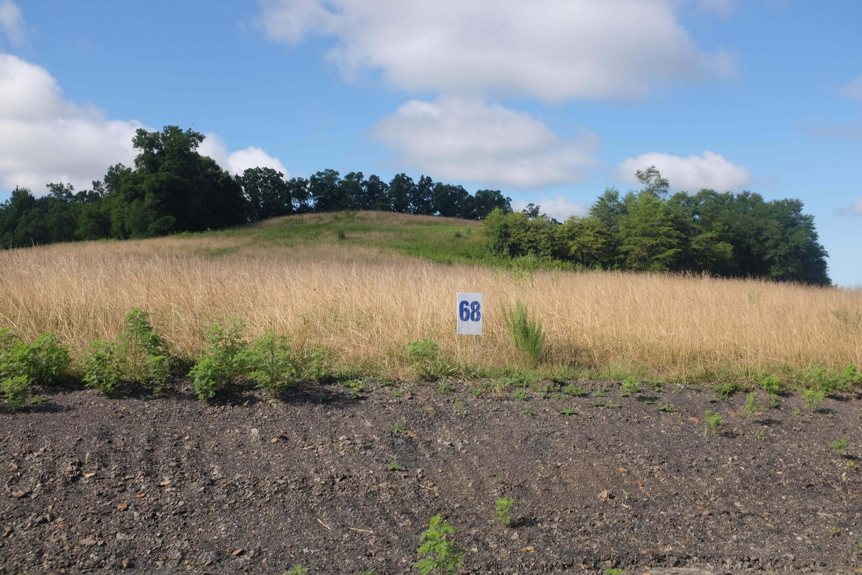 205 Dove Lane Lot 61 Property Photo 60