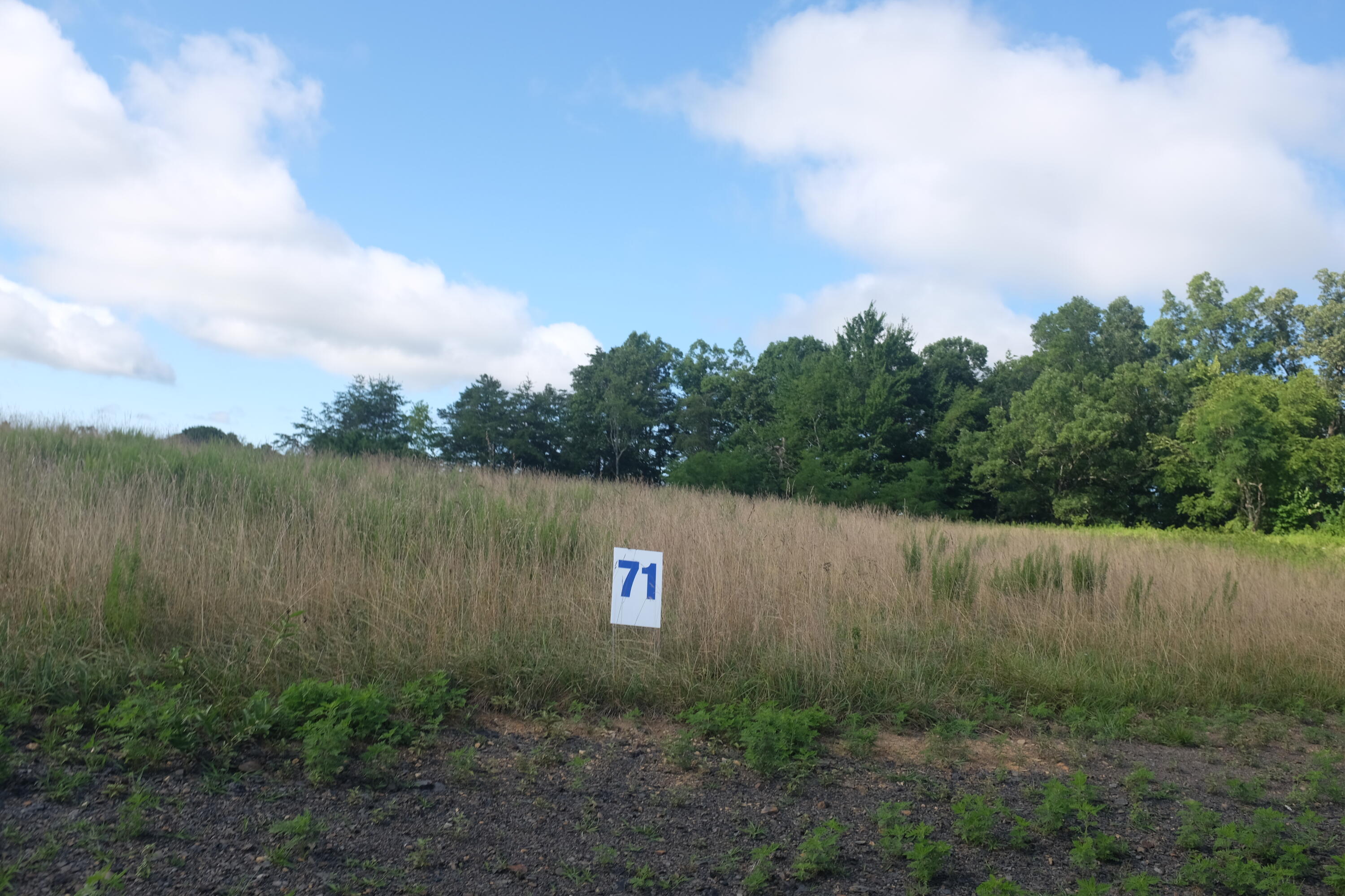 205 Dove Lane Lot 61 Property Photo 61