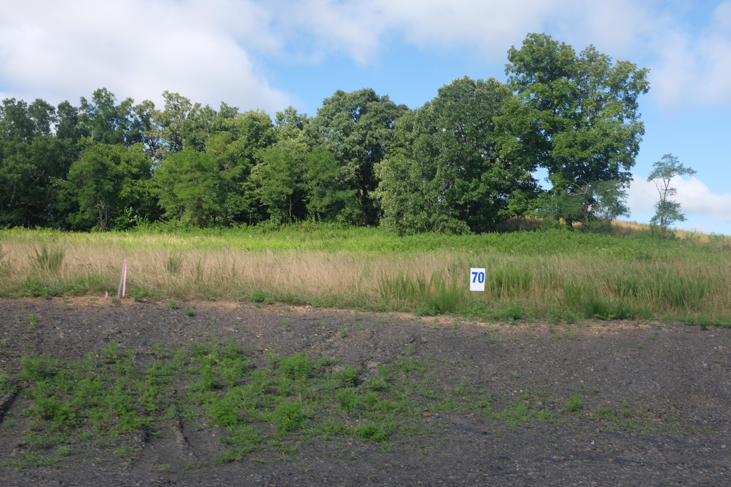 205 Dove Lane Lot 61 Property Photo 62