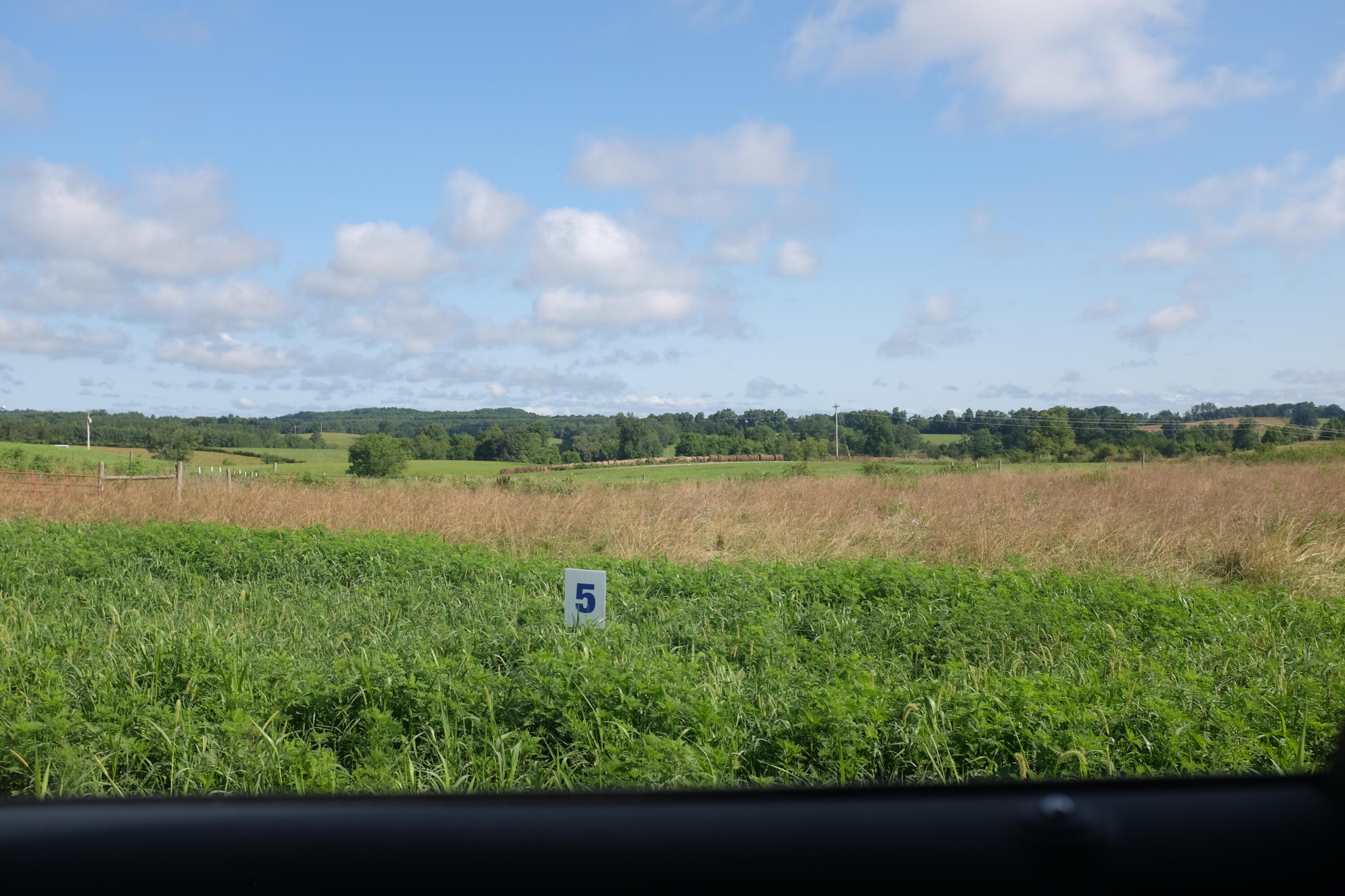169 Dove Lane Lot 62 Property Photo 7