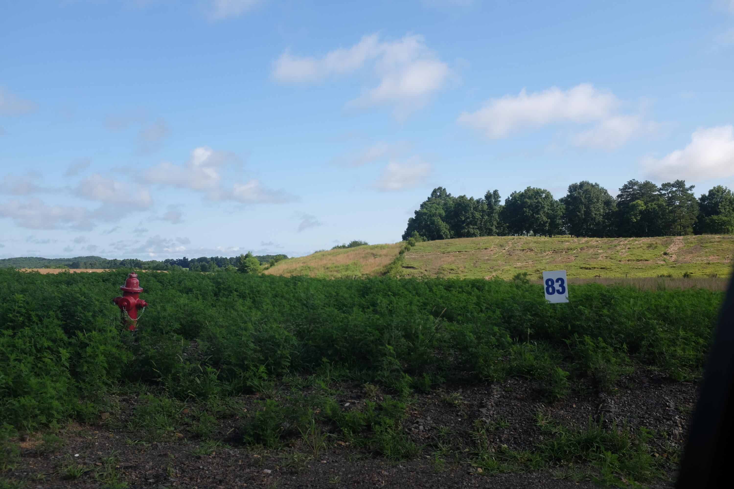 169 Dove Lane Lot 62 Property Photo 9