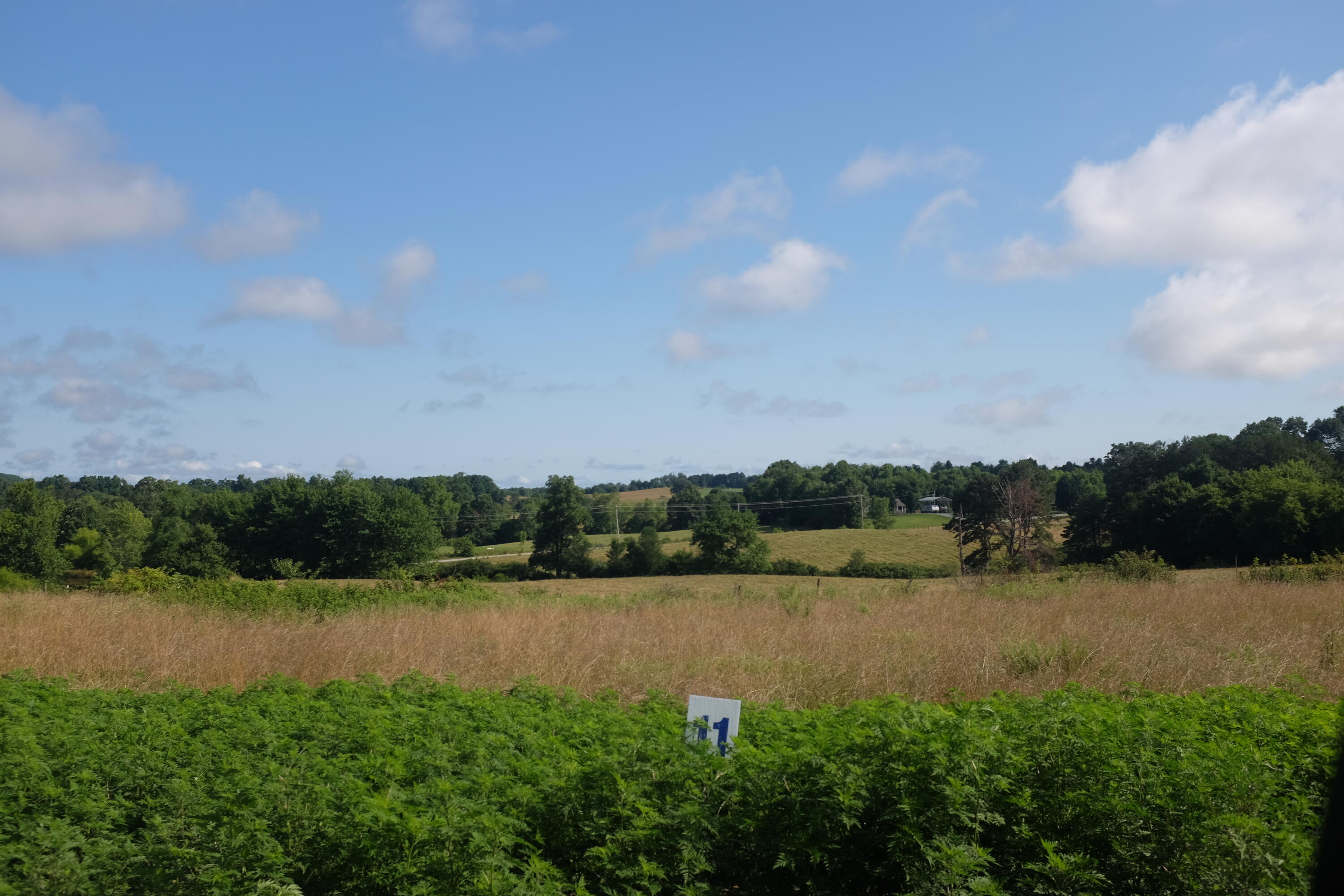 169 Dove Lane Lot 62 Property Photo 13