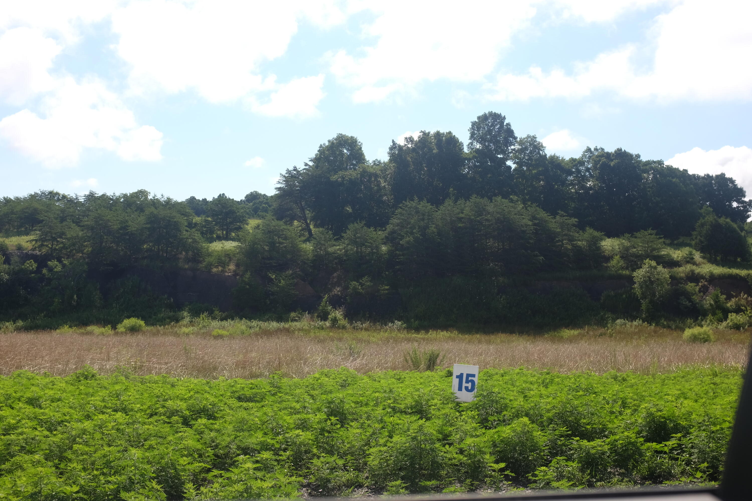 169 Dove Lane Lot 62 Property Photo 14