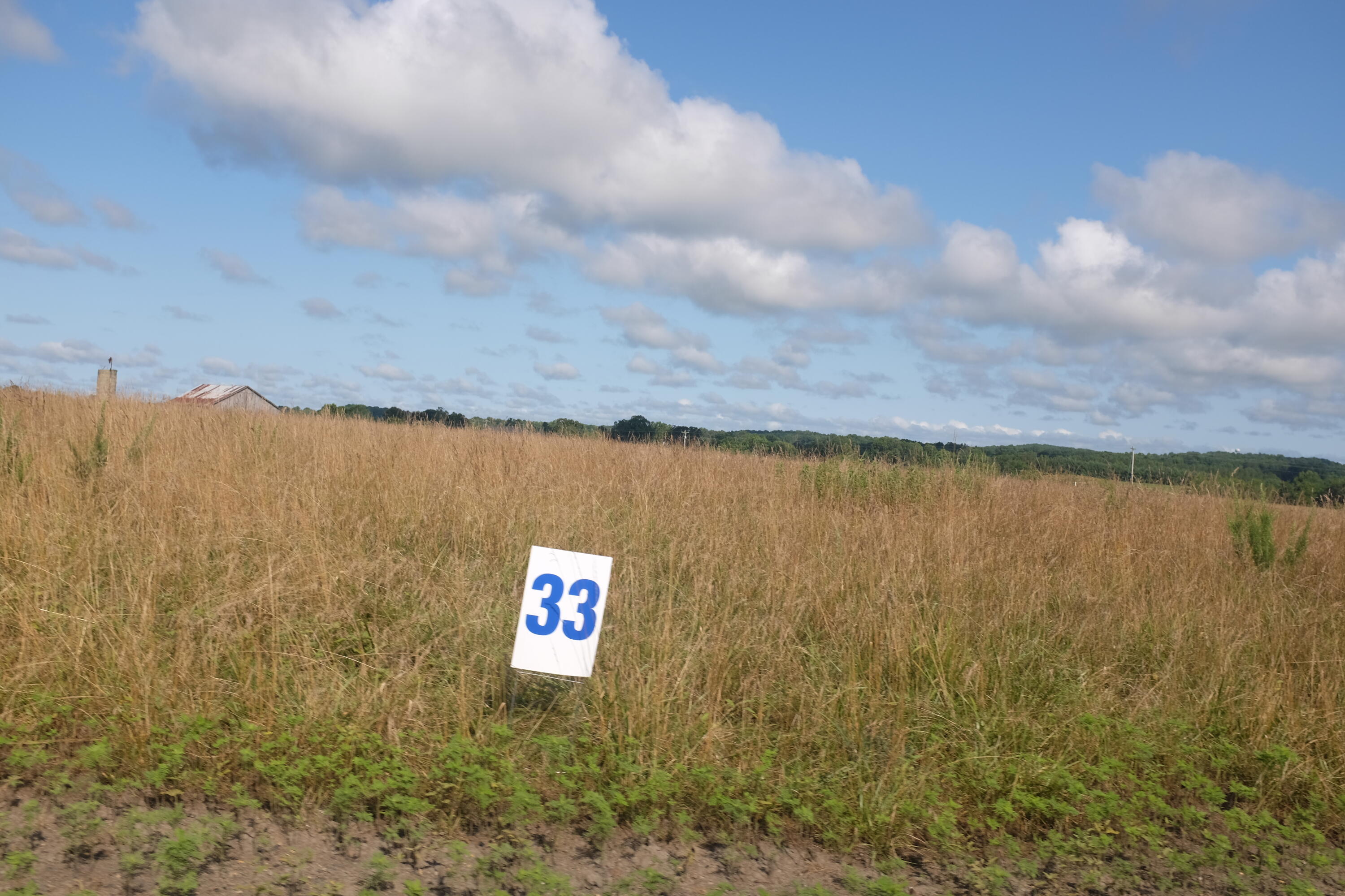 169 Dove Lane Lot 62 Property Photo 26