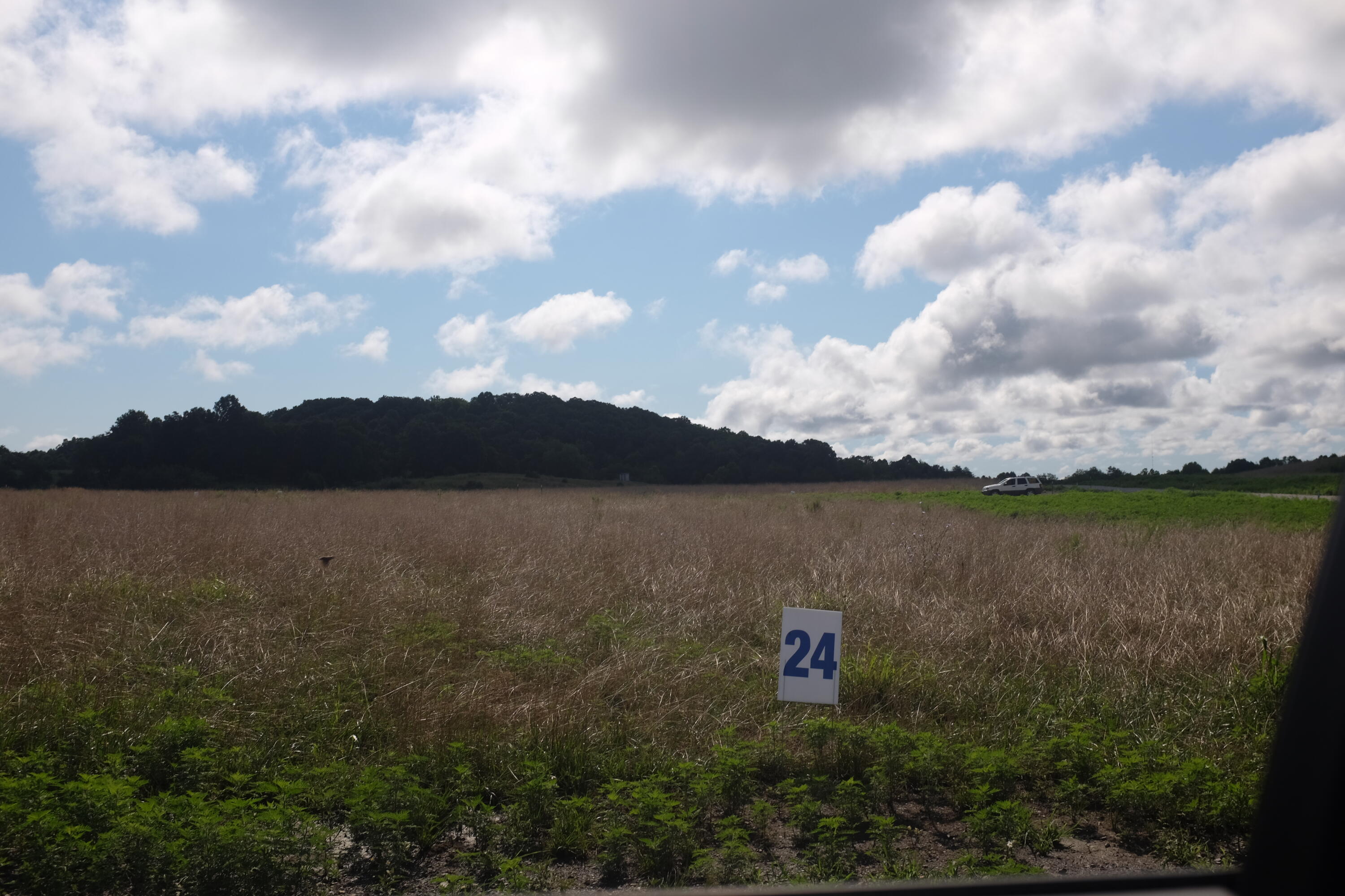 169 Dove Lane Lot 62 Property Photo 28