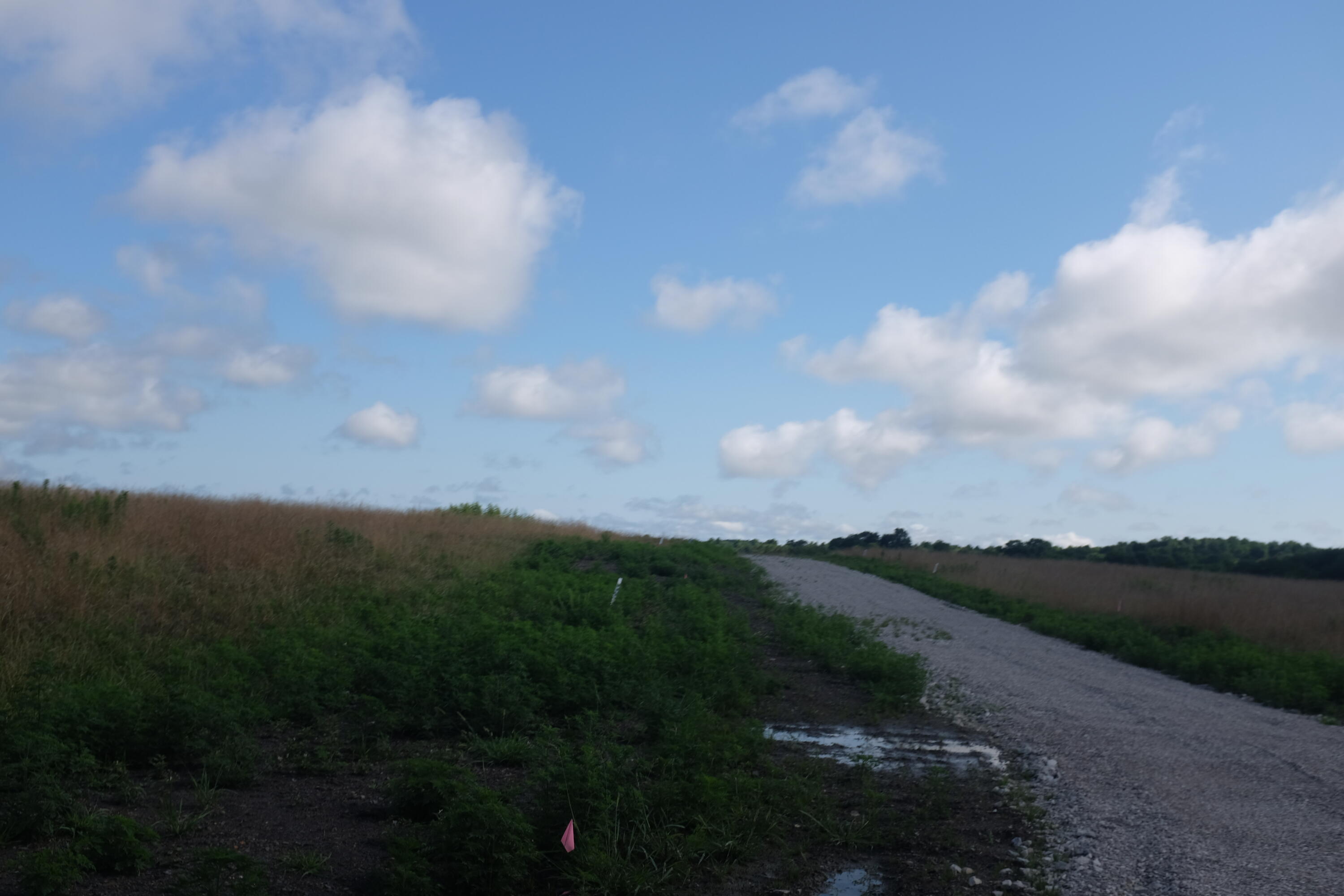 169 Dove Lane Lot 62 Property Photo 47