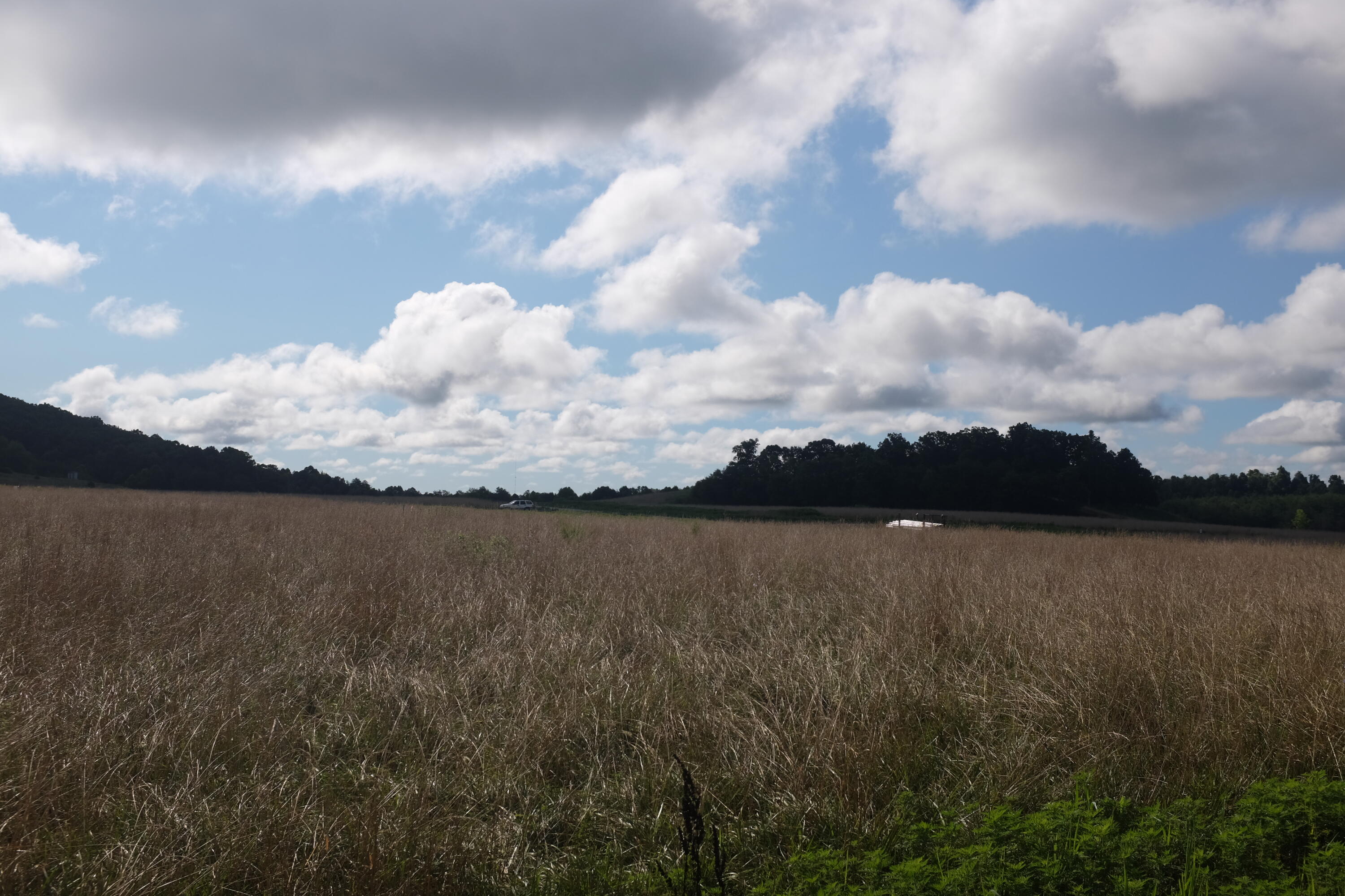 169 Dove Lane Lot 62 Property Photo 48