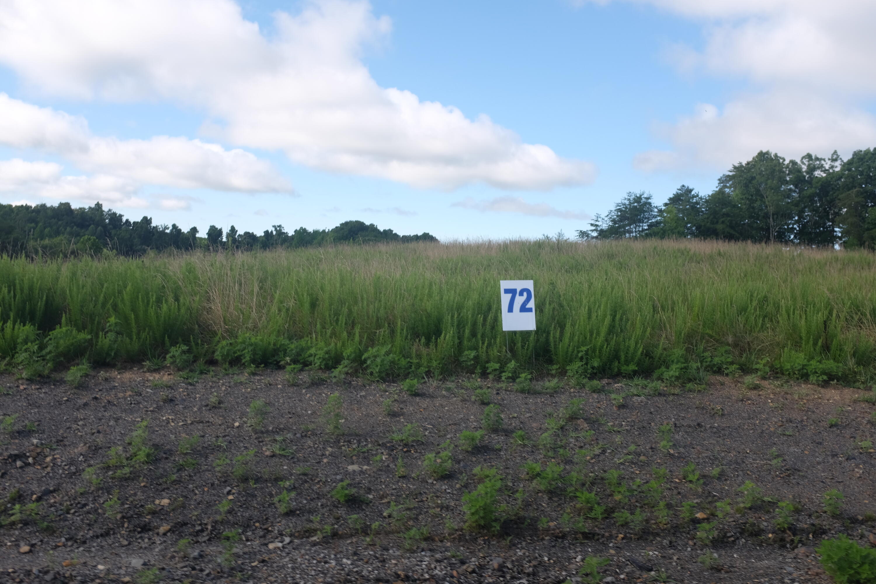 169 Dove Lane Lot 62 Property Photo 70