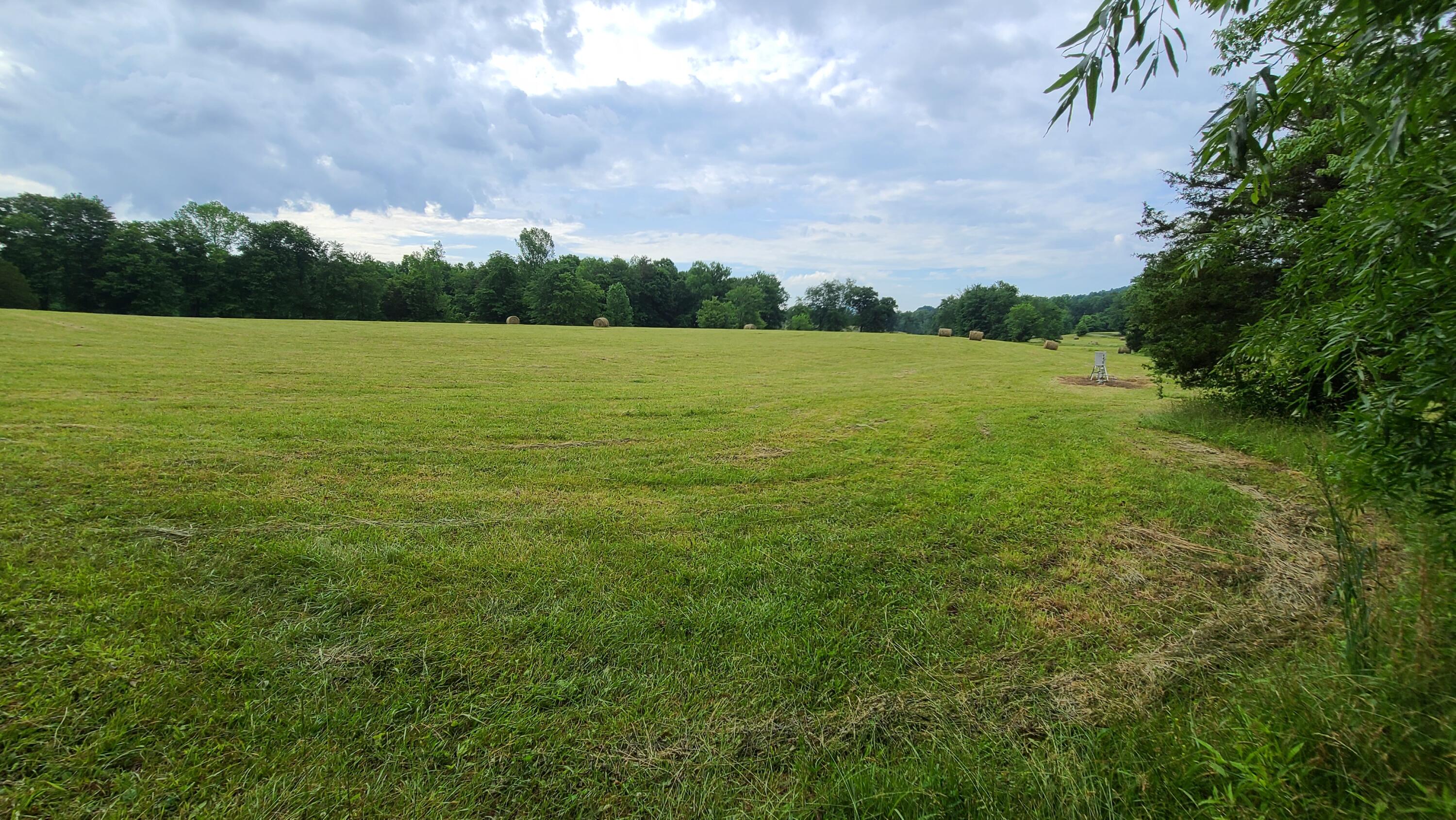 395 Lloyd Wilson Road Property Photo 14