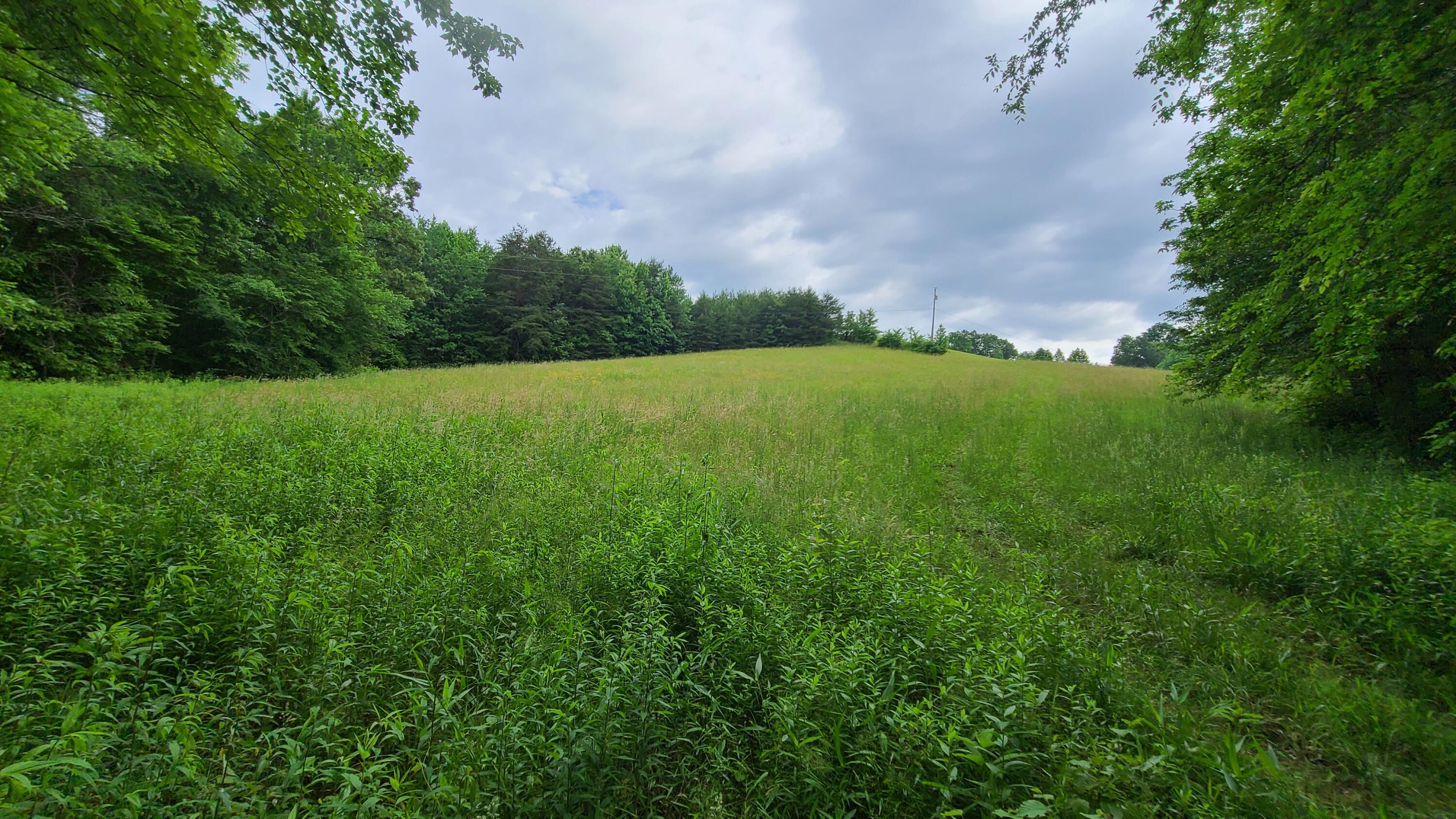 395 Lloyd Wilson Road Property Photo 16