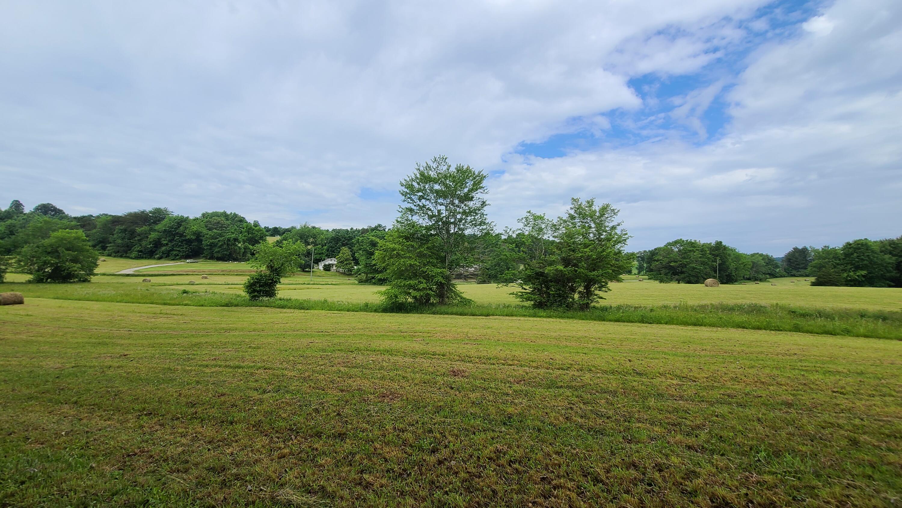 395 Lloyd Wilson Road Property Photo 19
