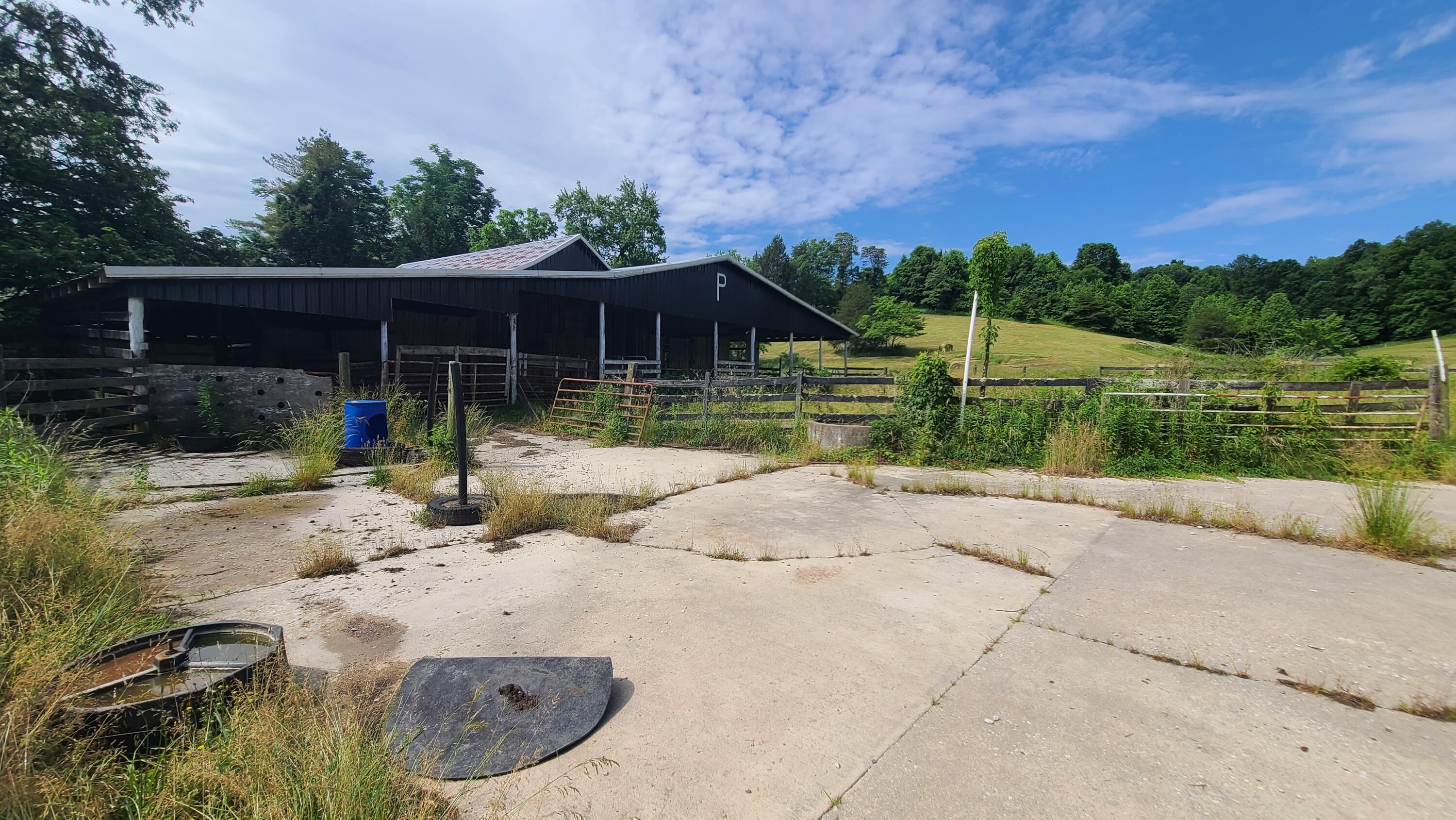 395 Lloyd Wilson Road Property Photo 25