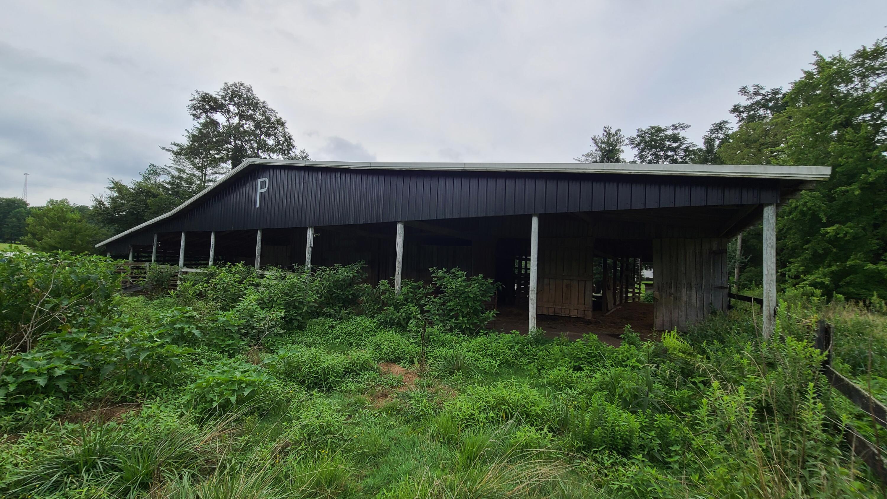 395 Lloyd Wilson Road Property Photo 40