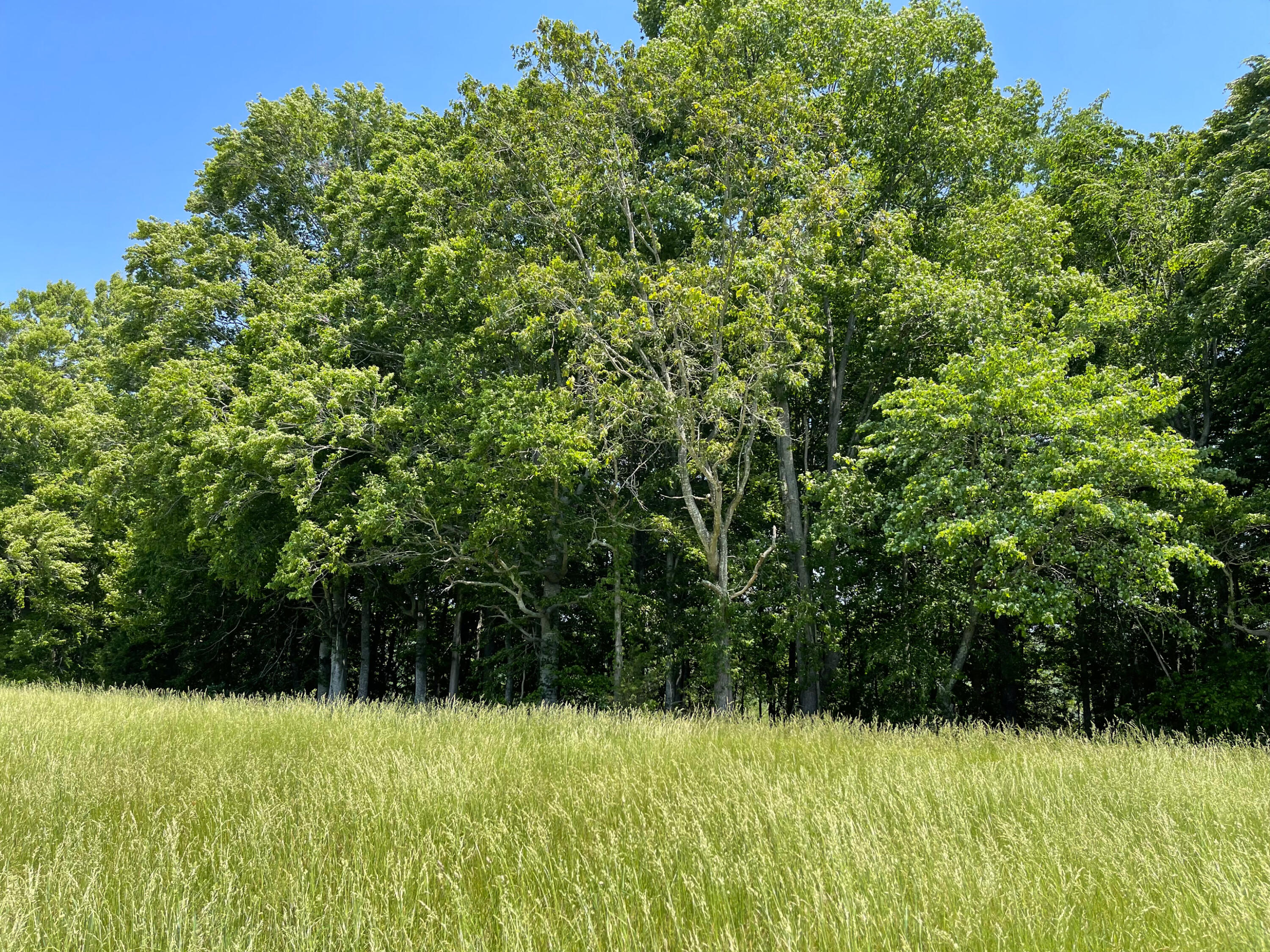 77 Meadows Loop Property Photo 1