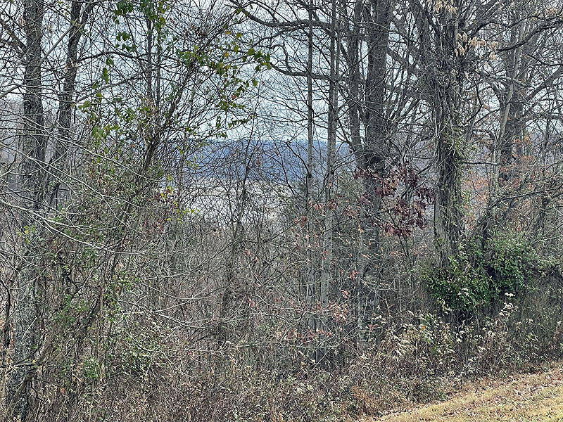Lot 138 Stillwater Property Photo 2